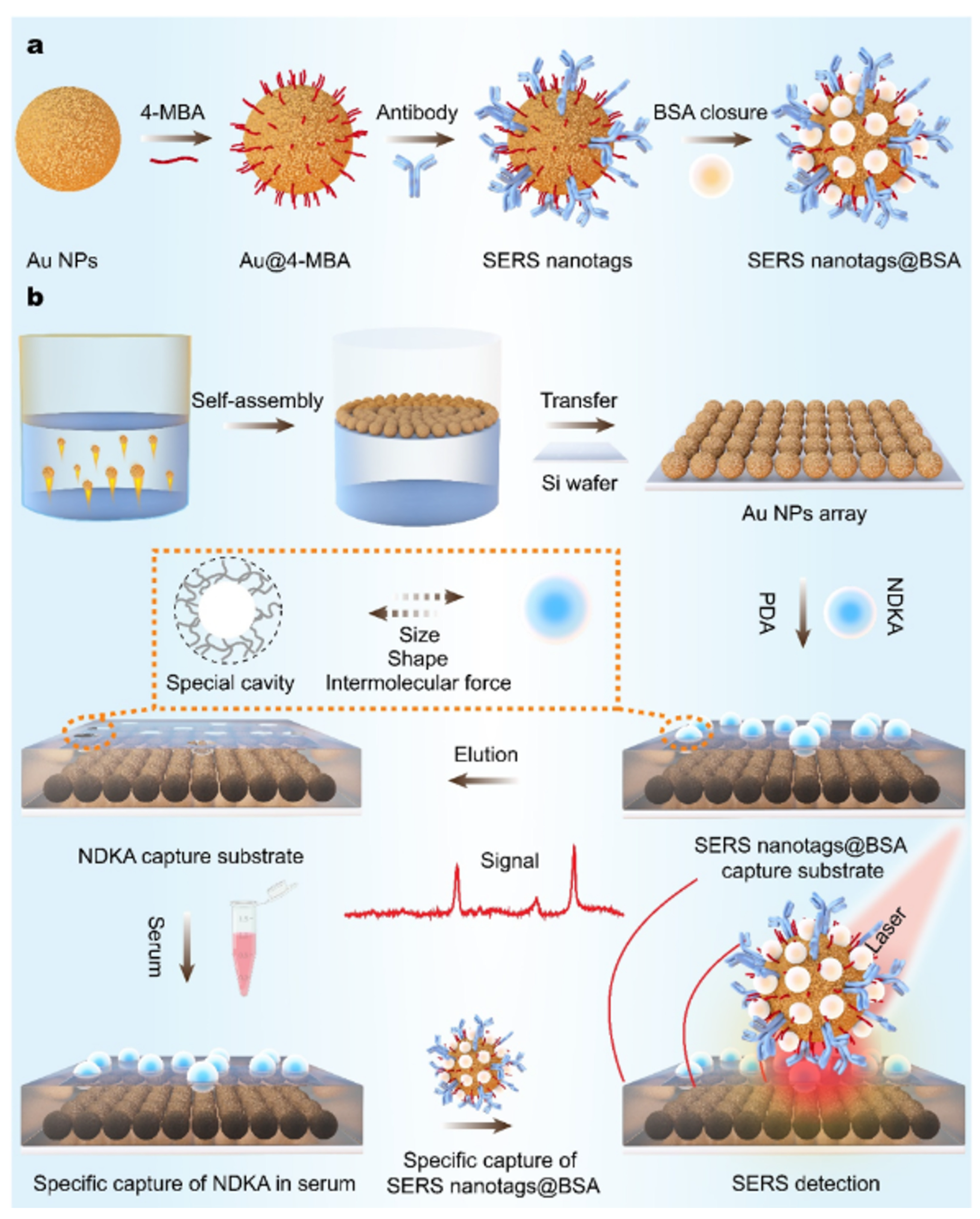Photonics 12 00294 g011