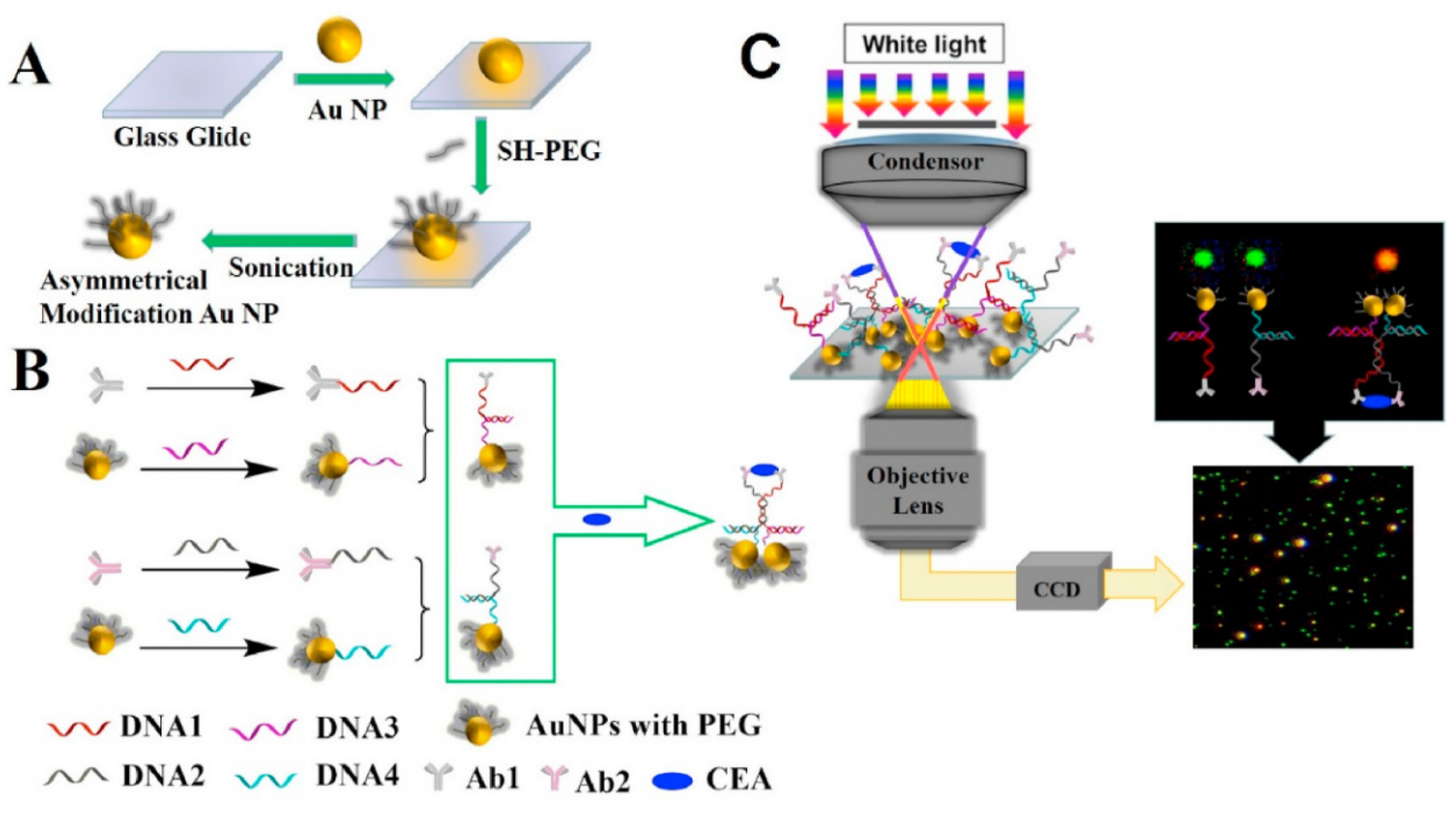 Photonics 12 00294 g012