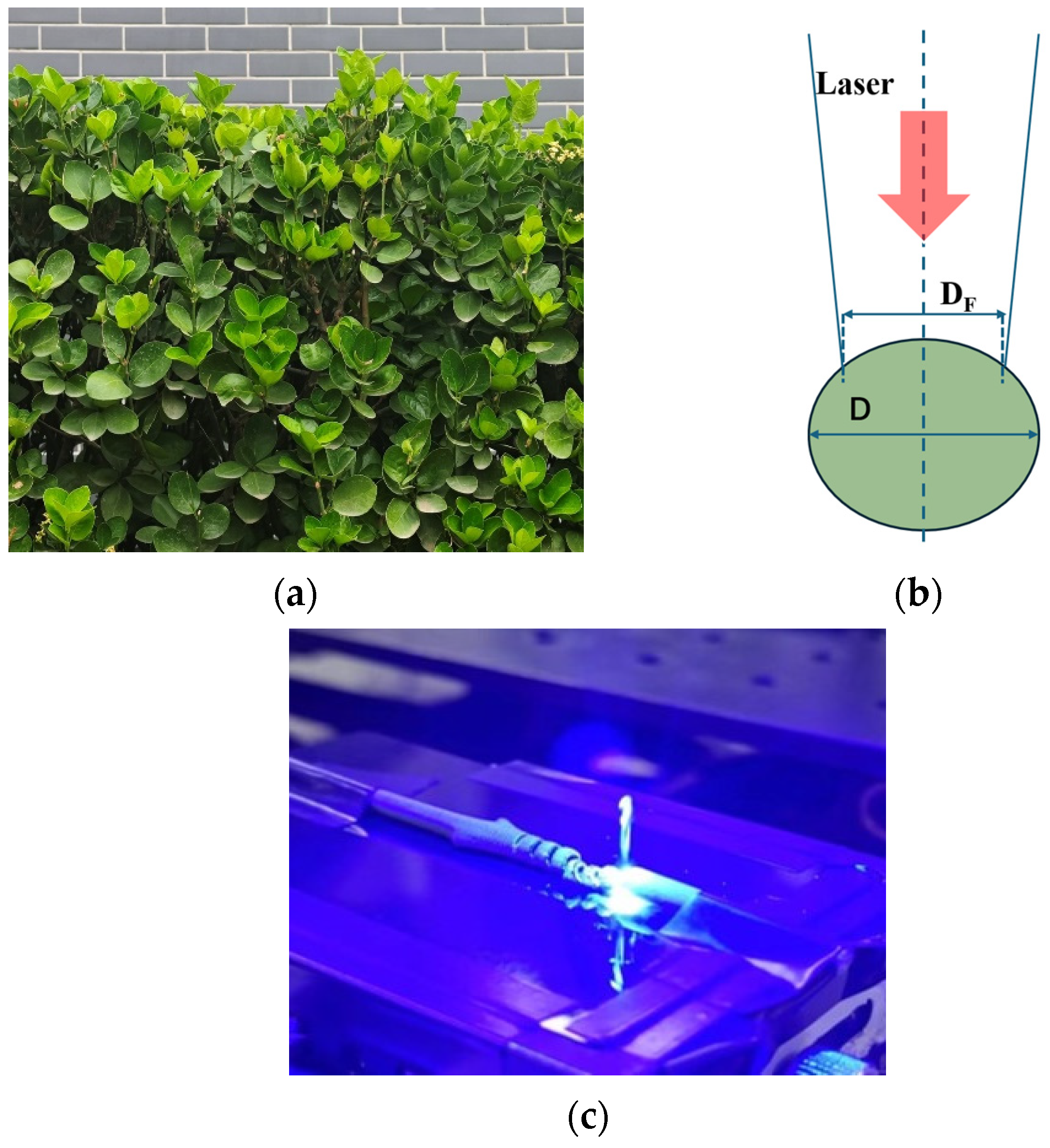 Photonics 12 00300 g002
