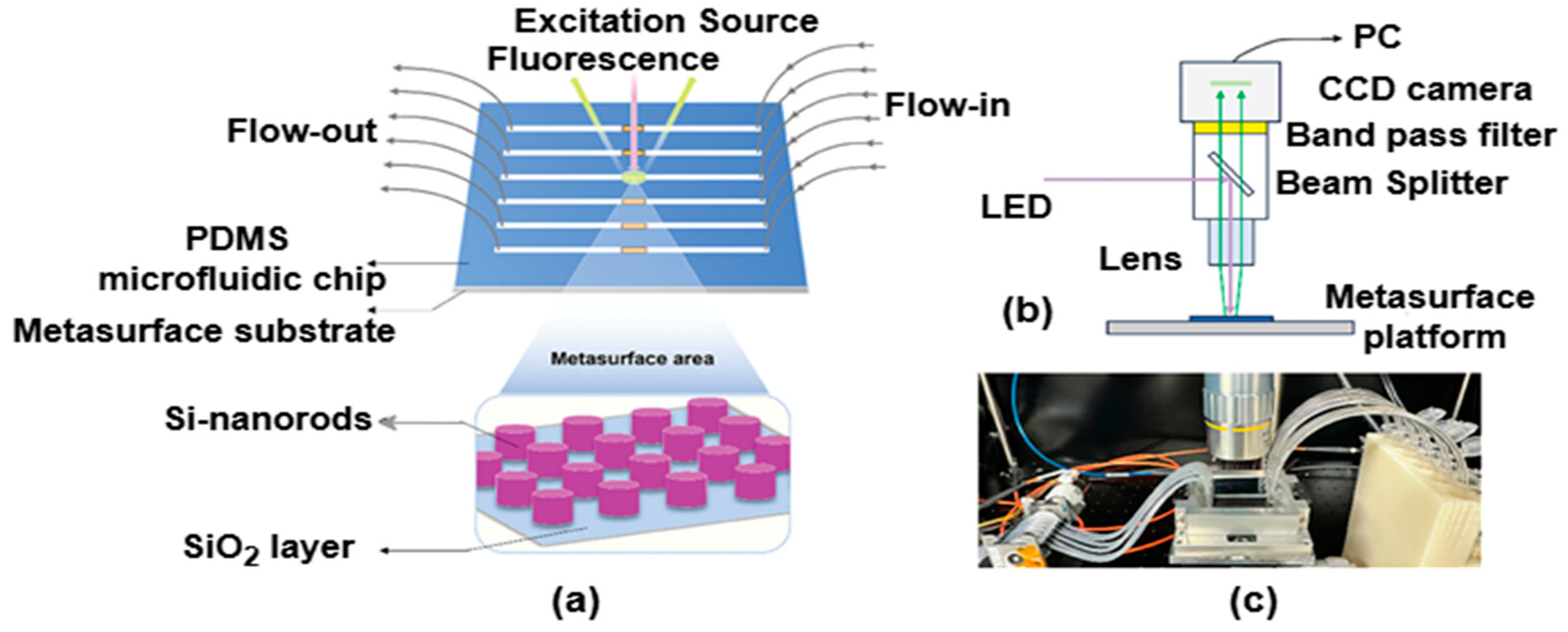 Photonics 12 00360 g021