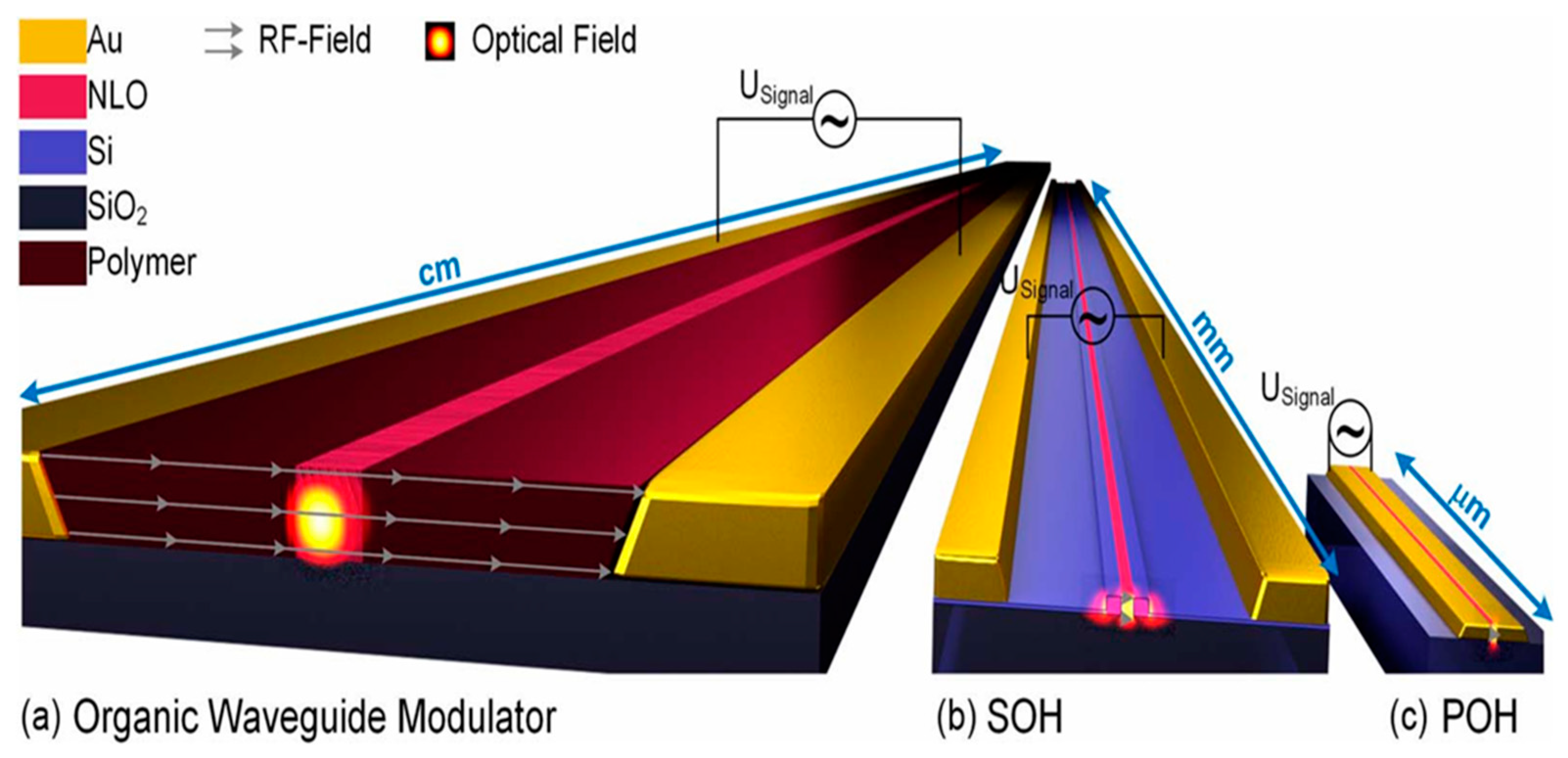Photonics 12 00429 g017 Photonics 12 00429 g017