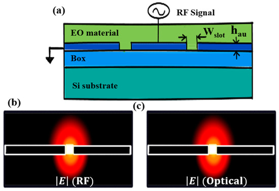 Photonics 12 00429 g019