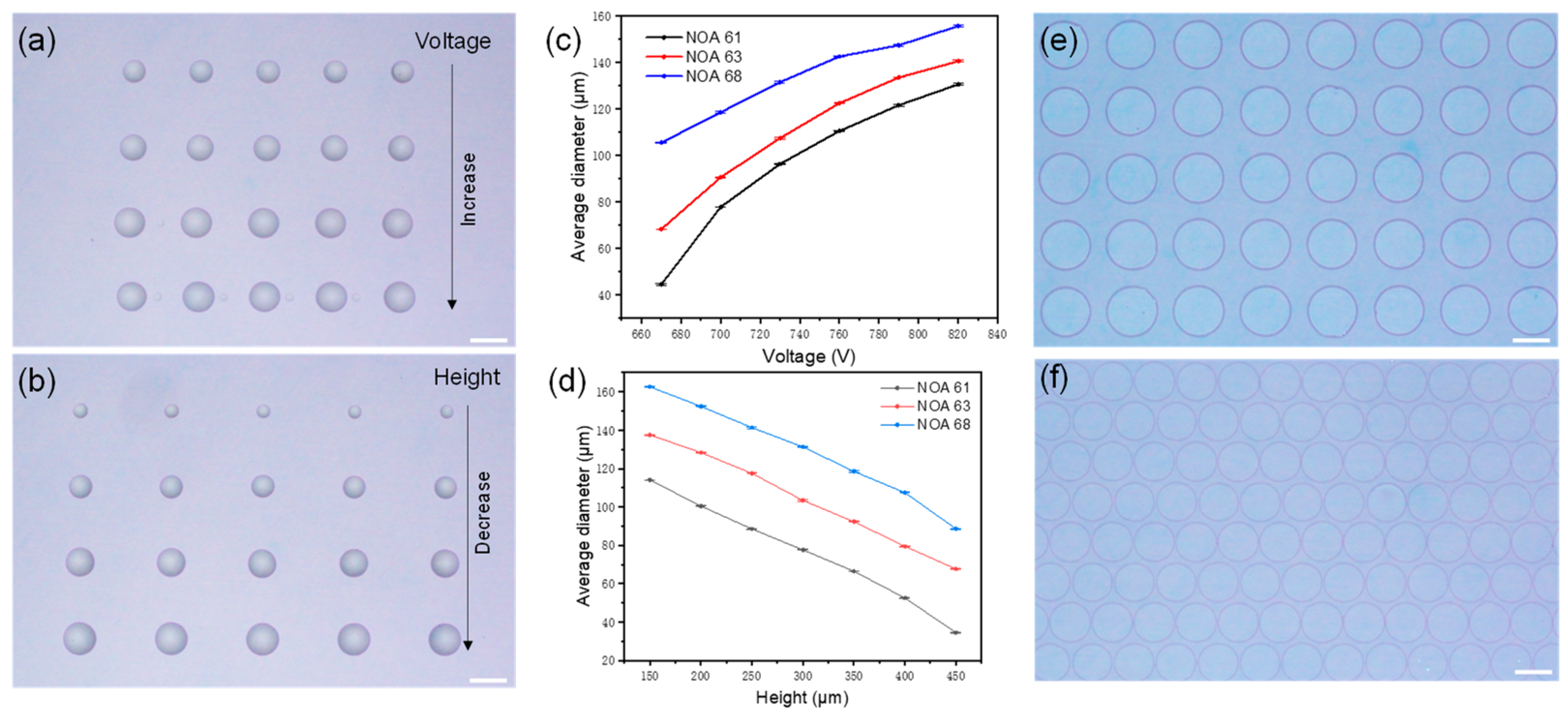 Photonics 12 00446 g004