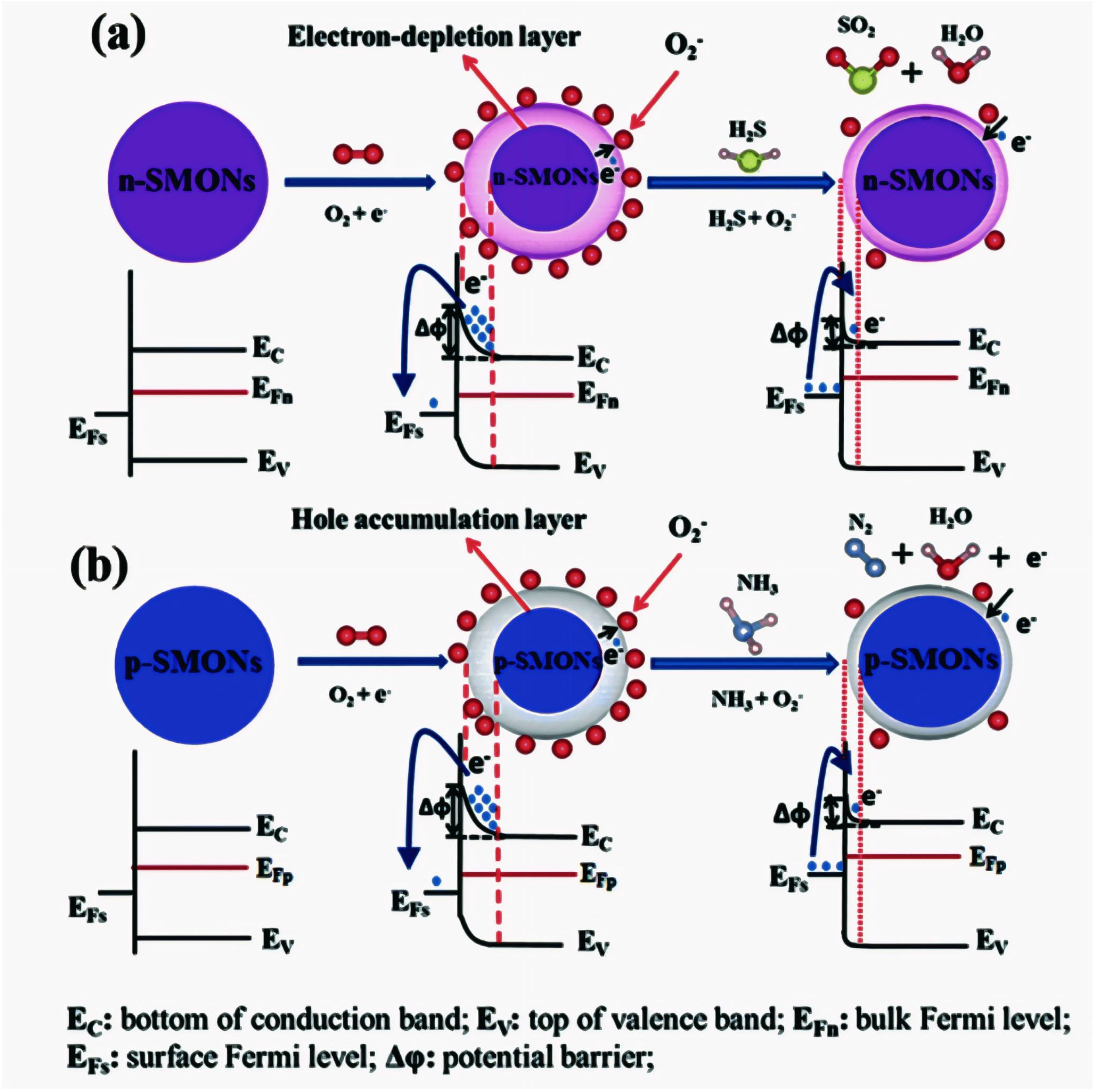 Photonics 12 00454 g009