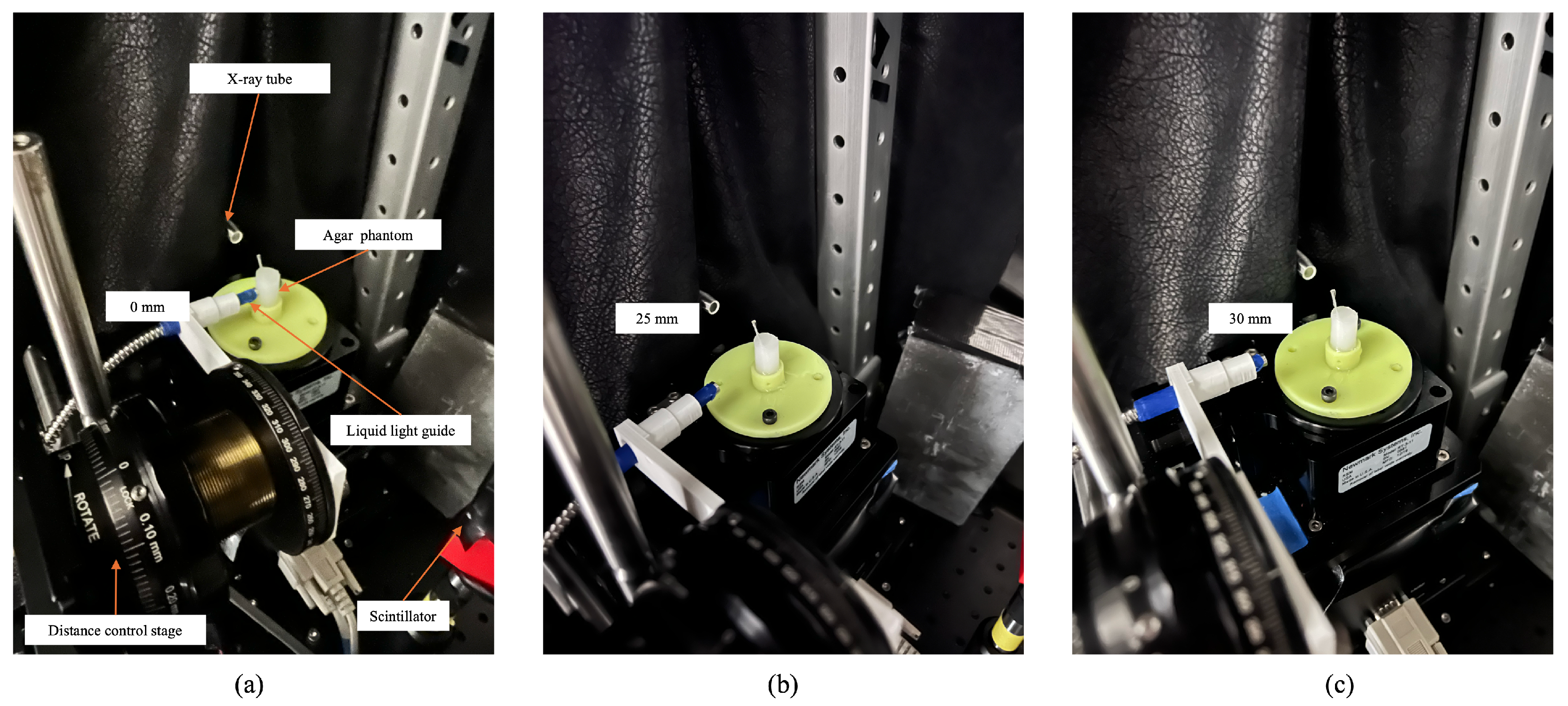 Photonics 12 00483 g004