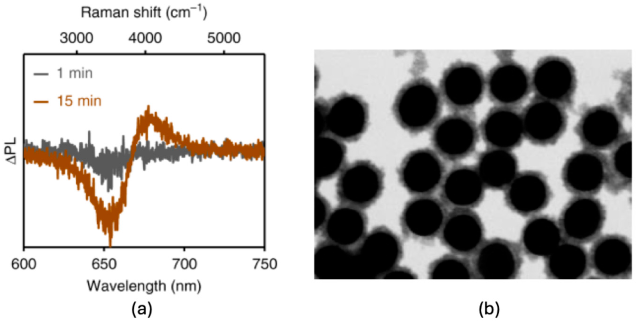 Photonics 12 00555 g001