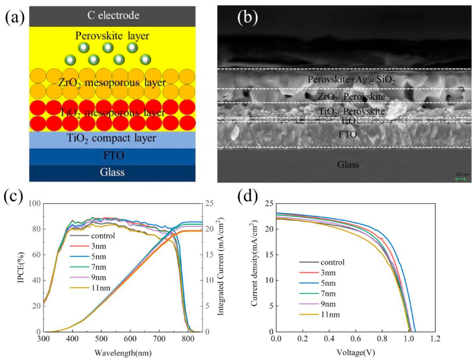 Photonics 12 00555 g004