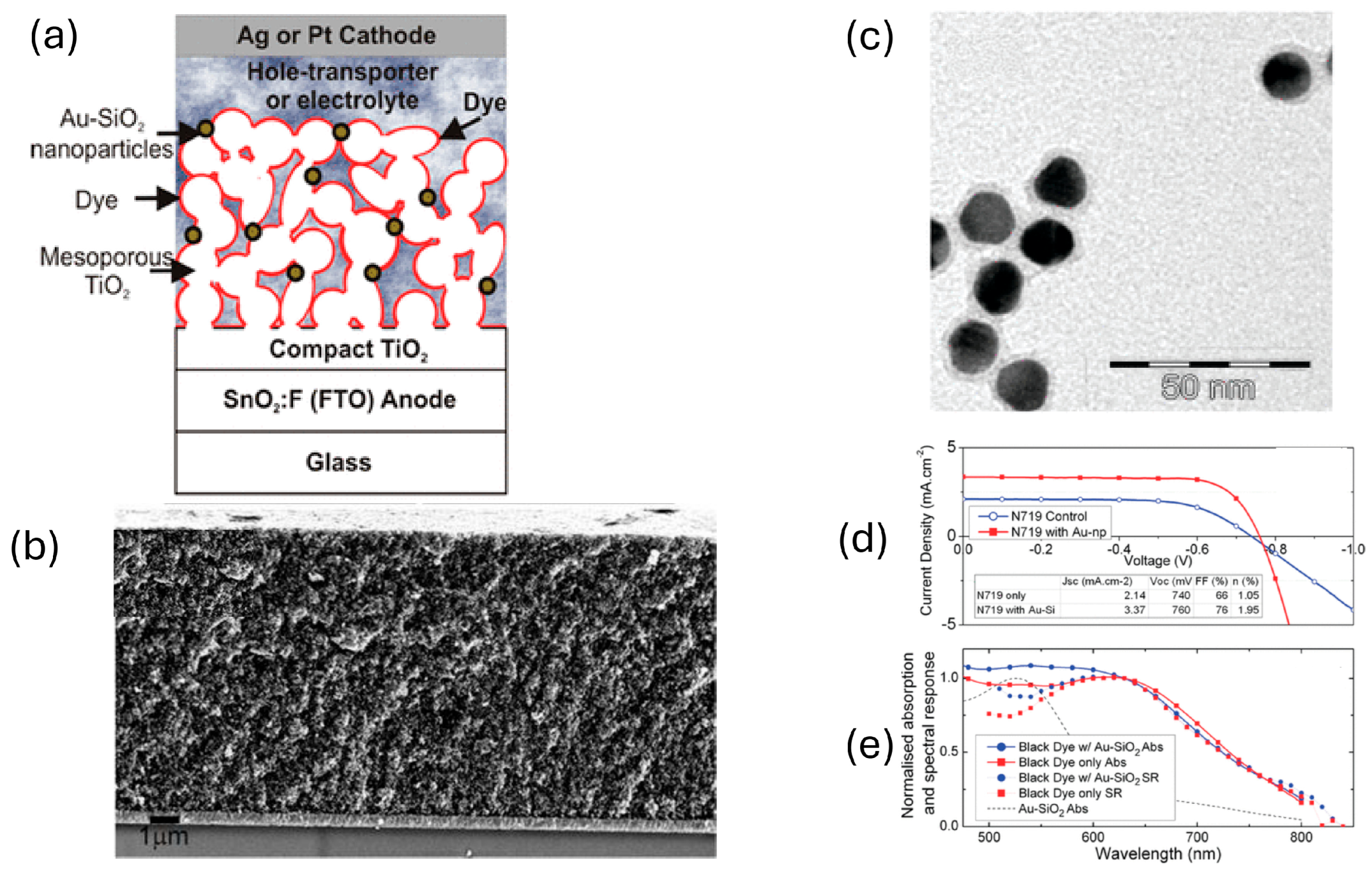 Photonics 12 00555 g005