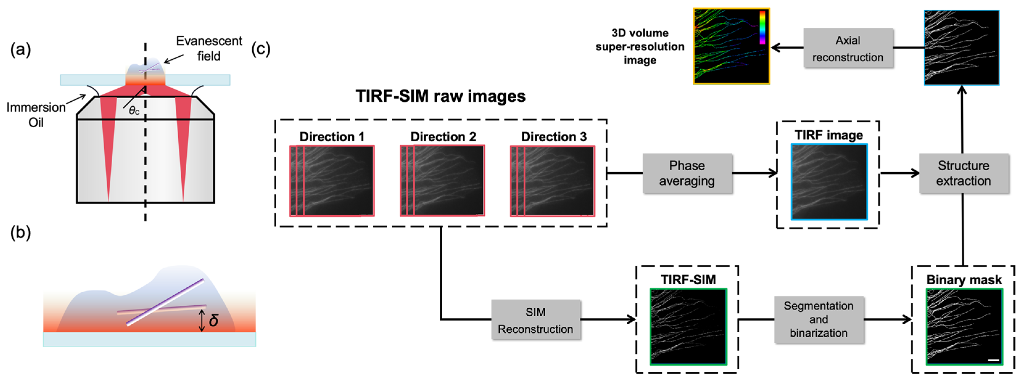 Photonics 12 00652 g001