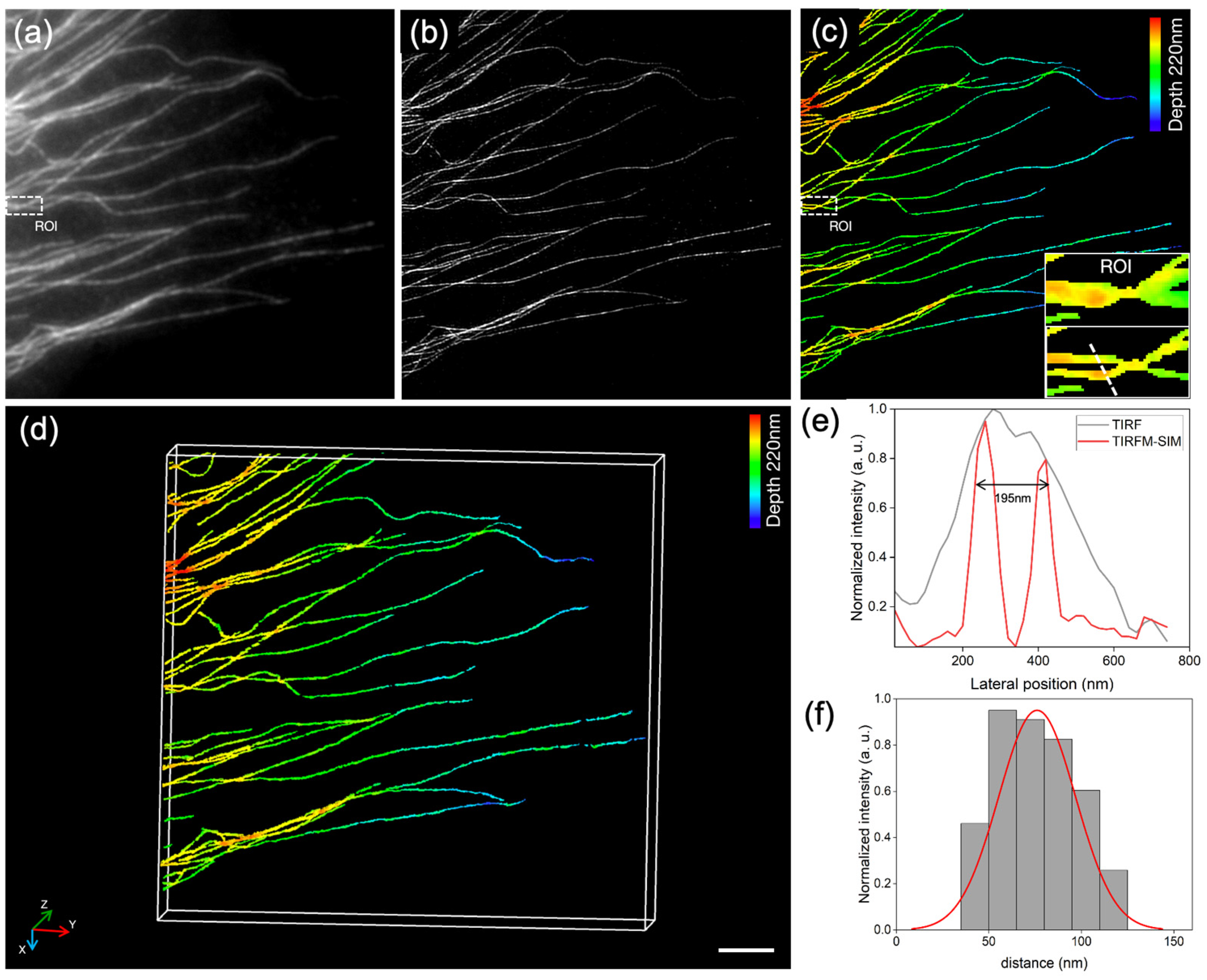 Photonics 12 00652 g004