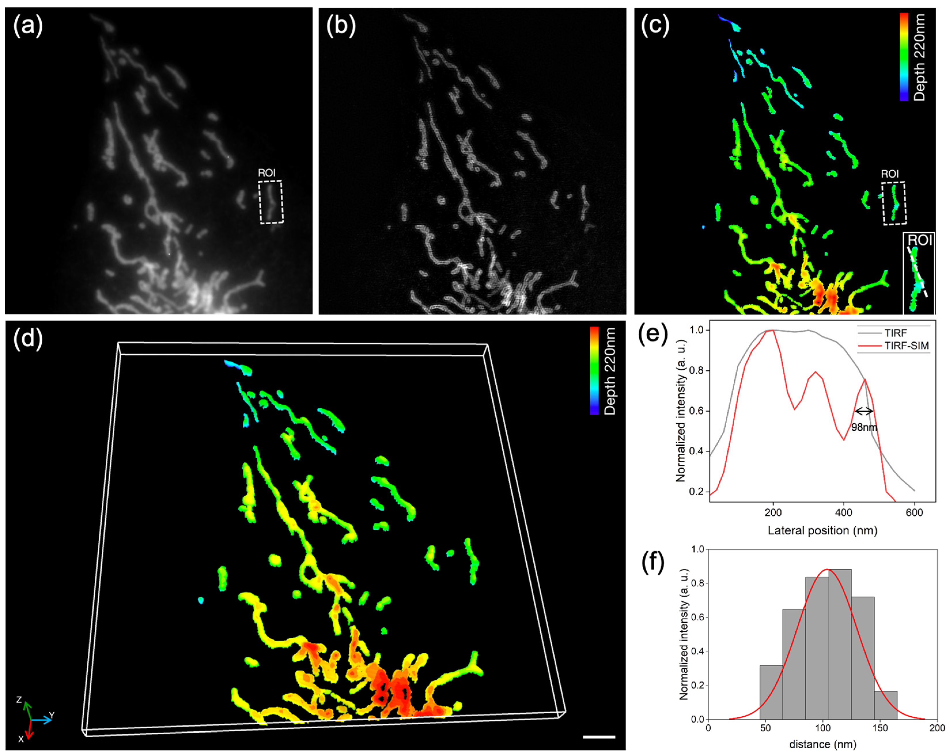 Photonics 12 00652 g005