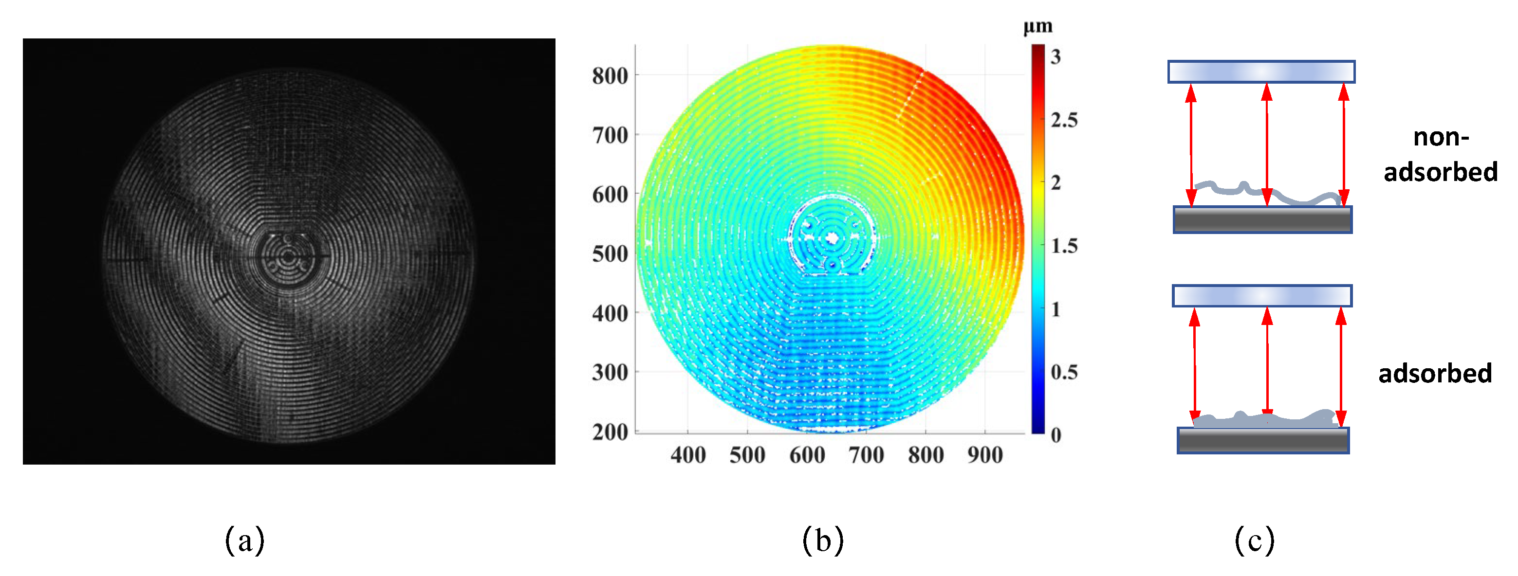 Photonics 12 00663 g008