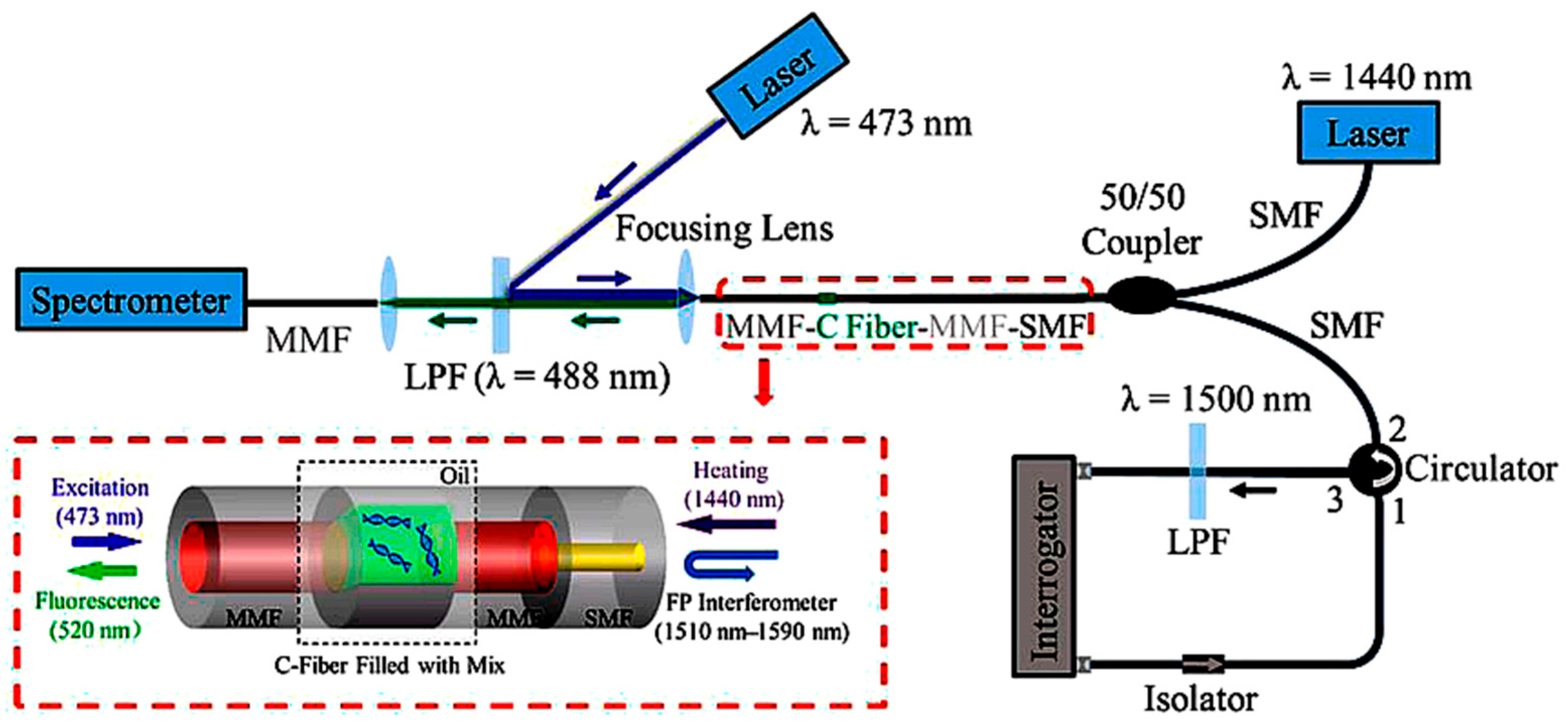 Photonics 12 00695 g003