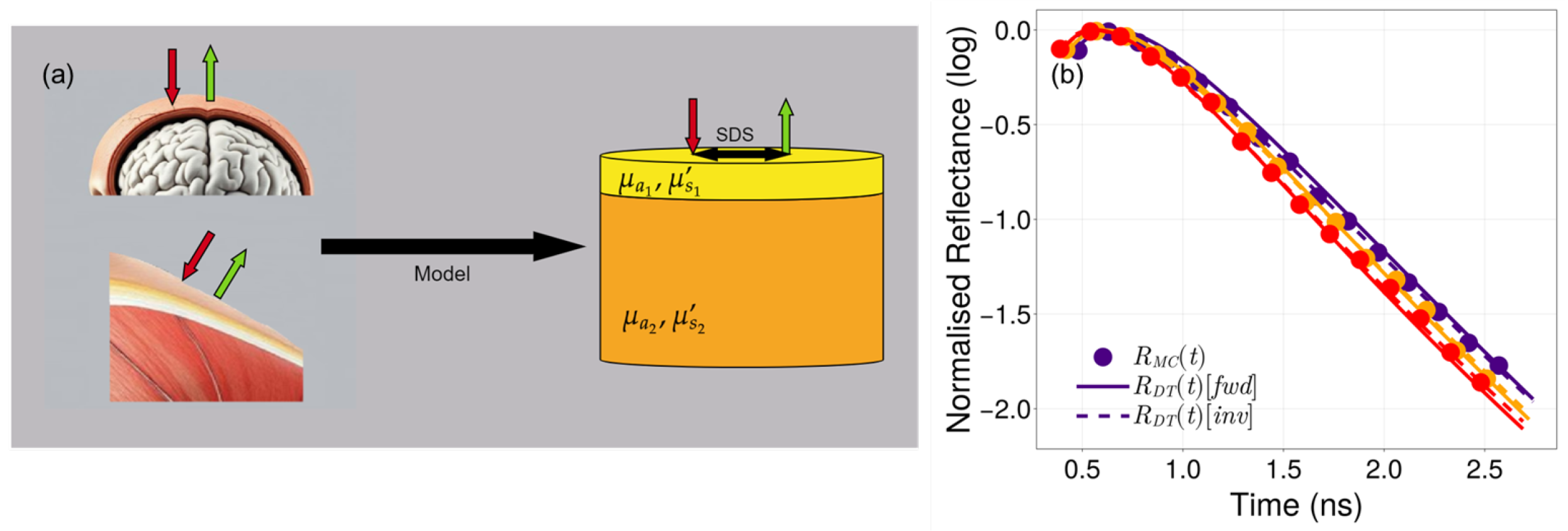 Photonics 12 00698 g001