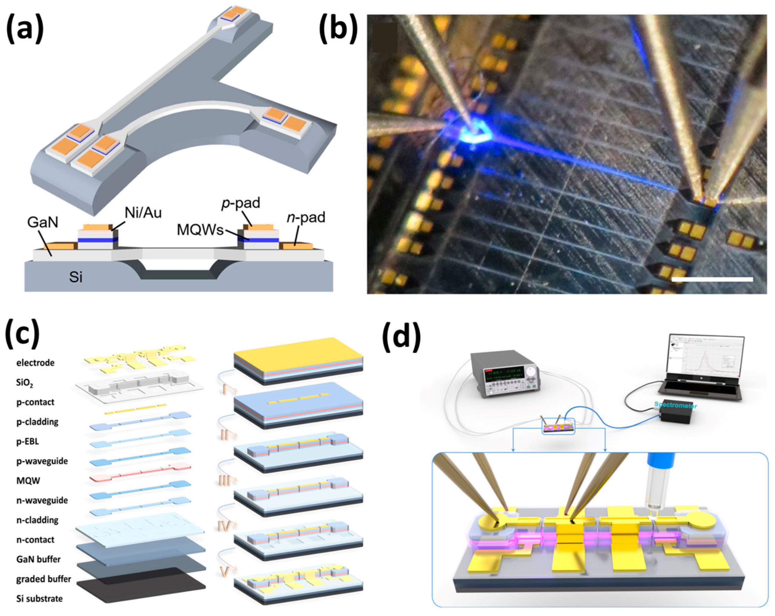 Photonics 12 00730 g012