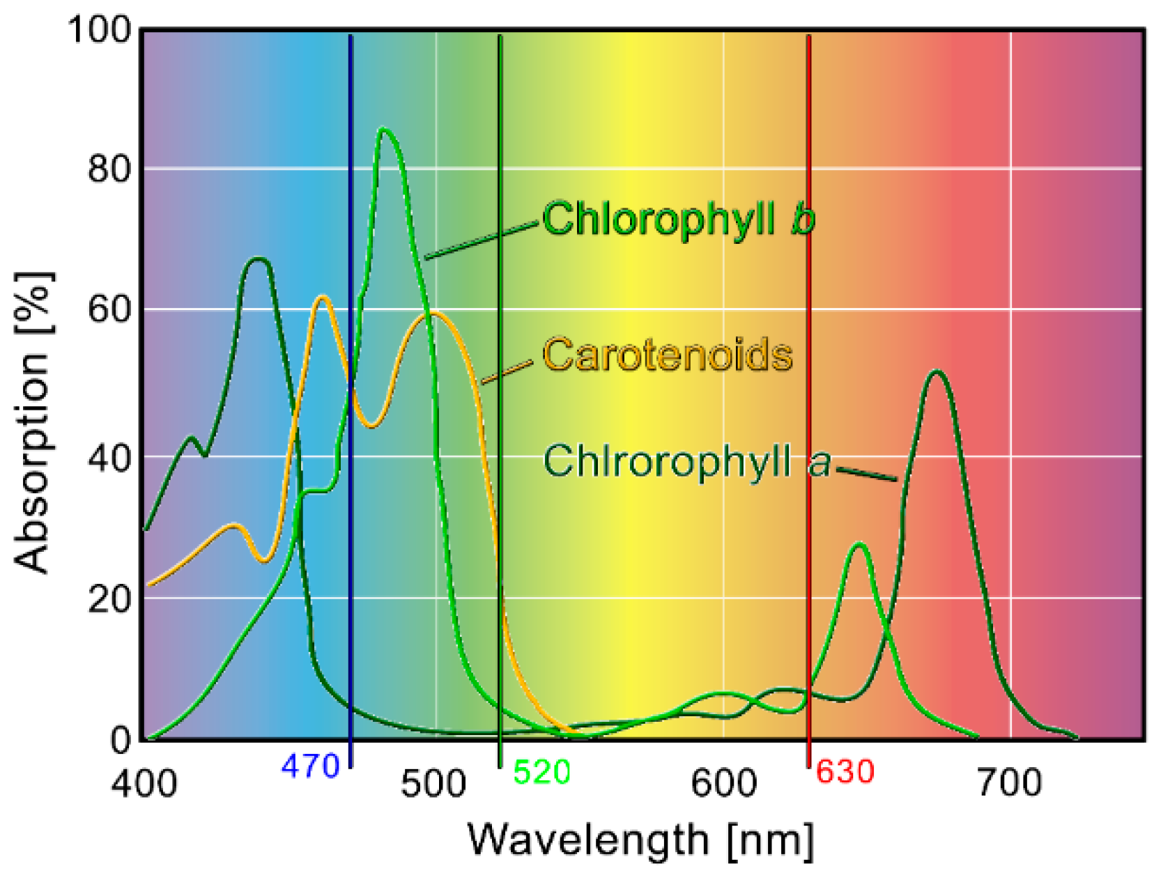 Photonics 12 00749 g006