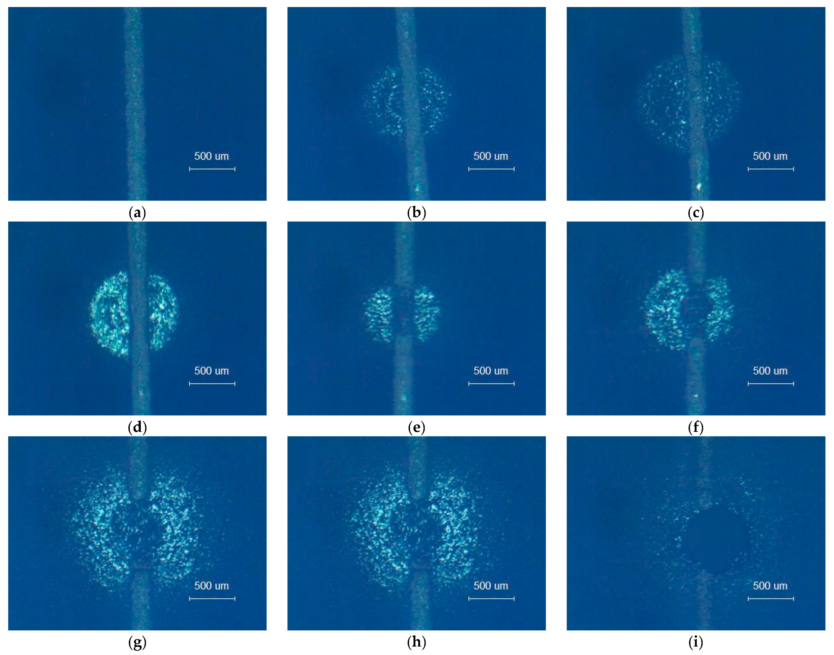 Photonics 12 00804 g009