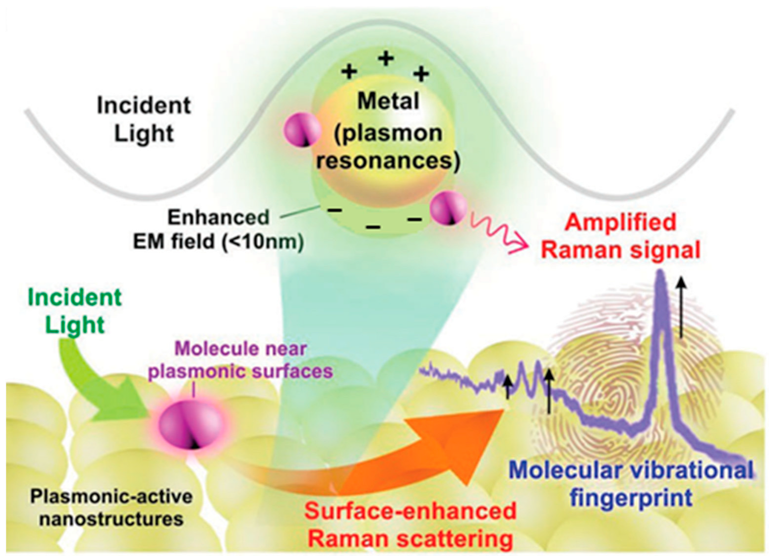 Photonics 12 00809 g002
