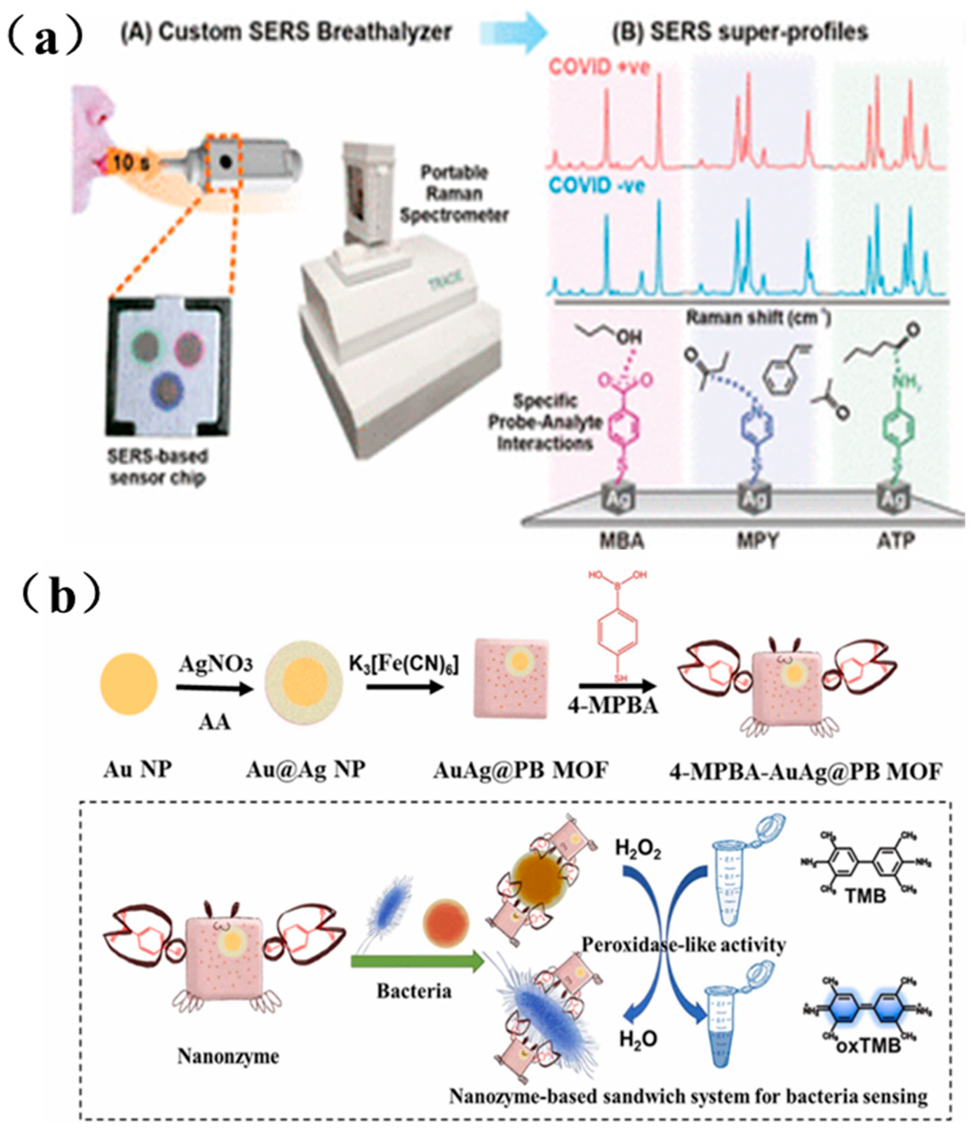 Photonics 12 00809 g008