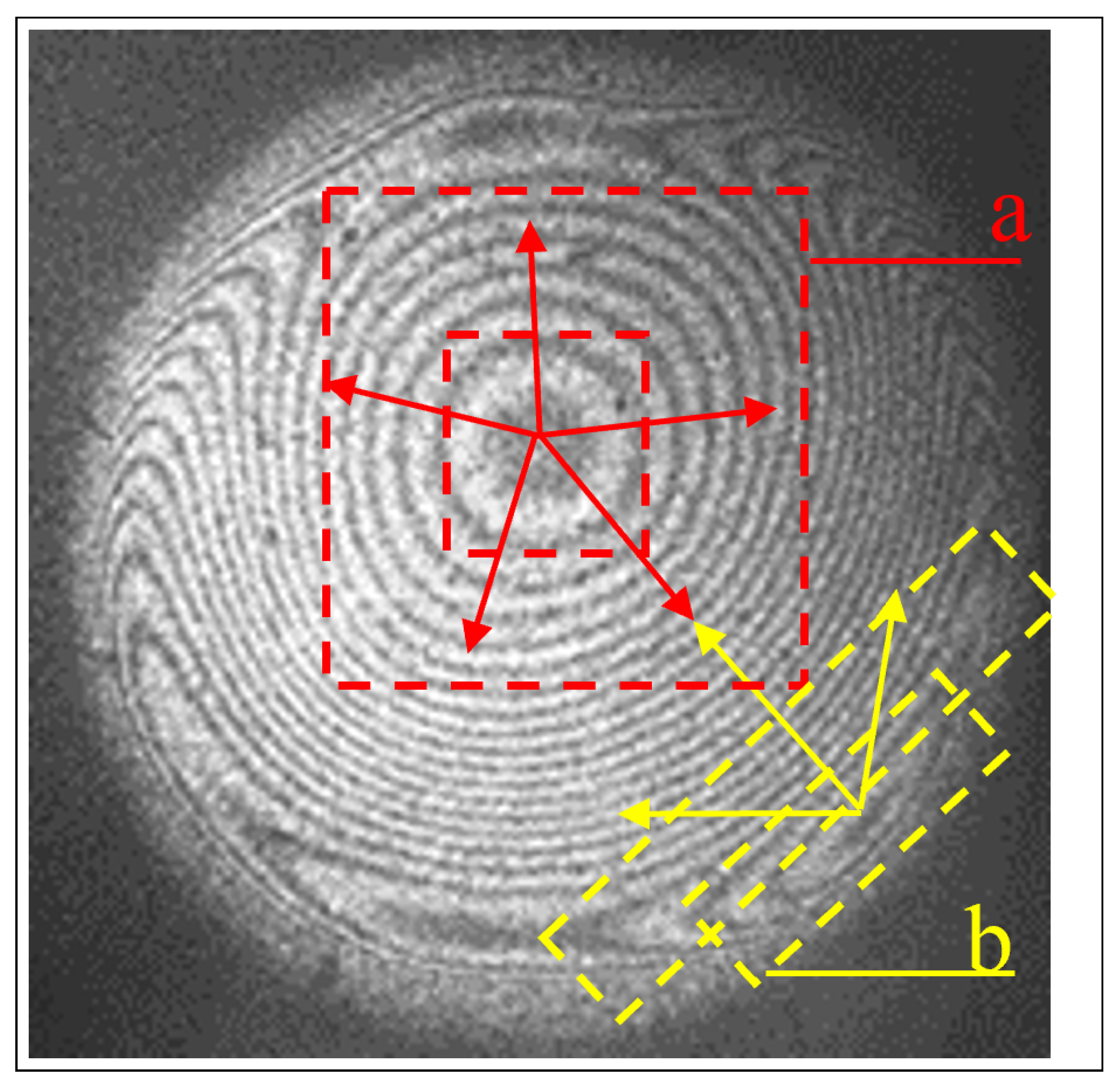 Photonics 12 00835 g002