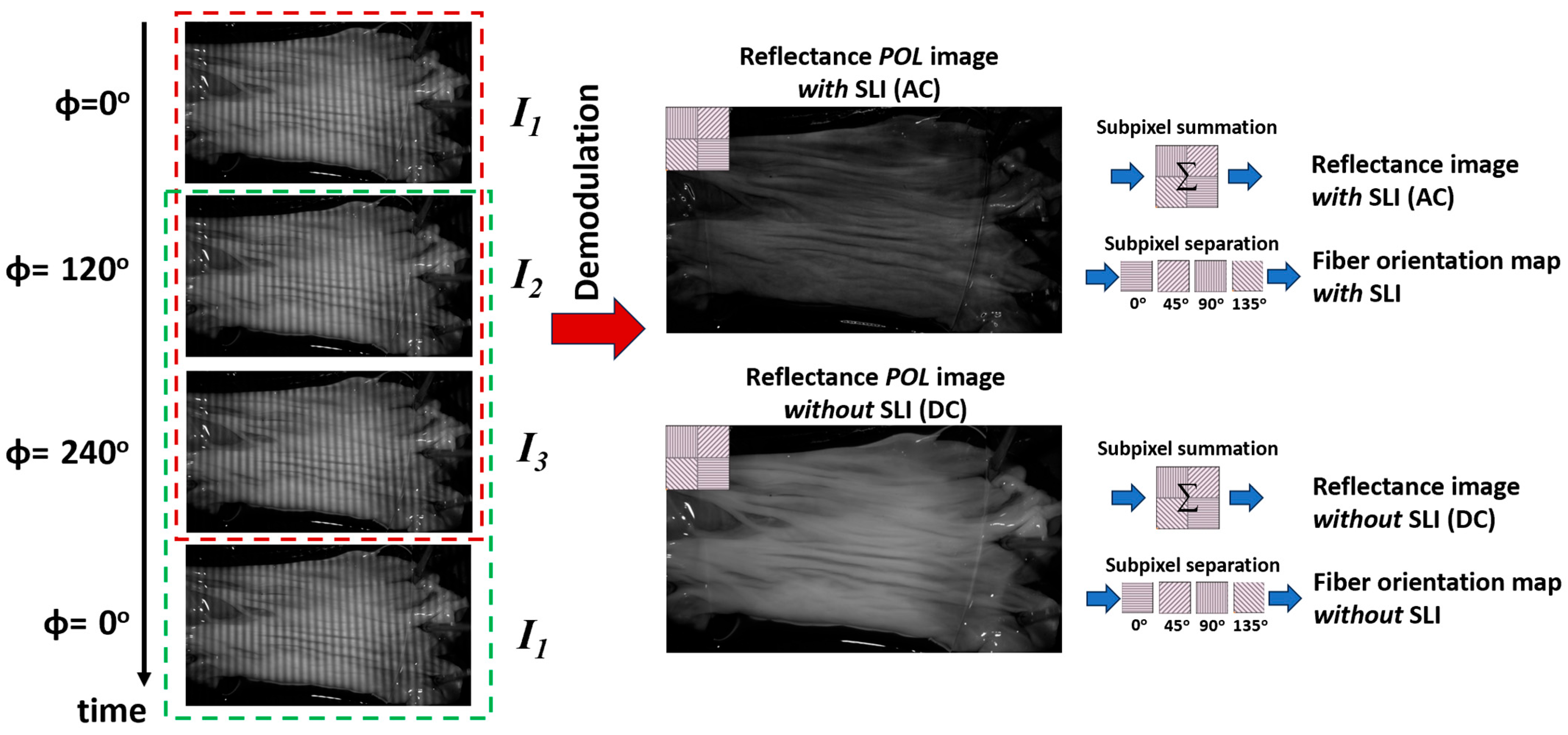 Photonics 12 00935 g002