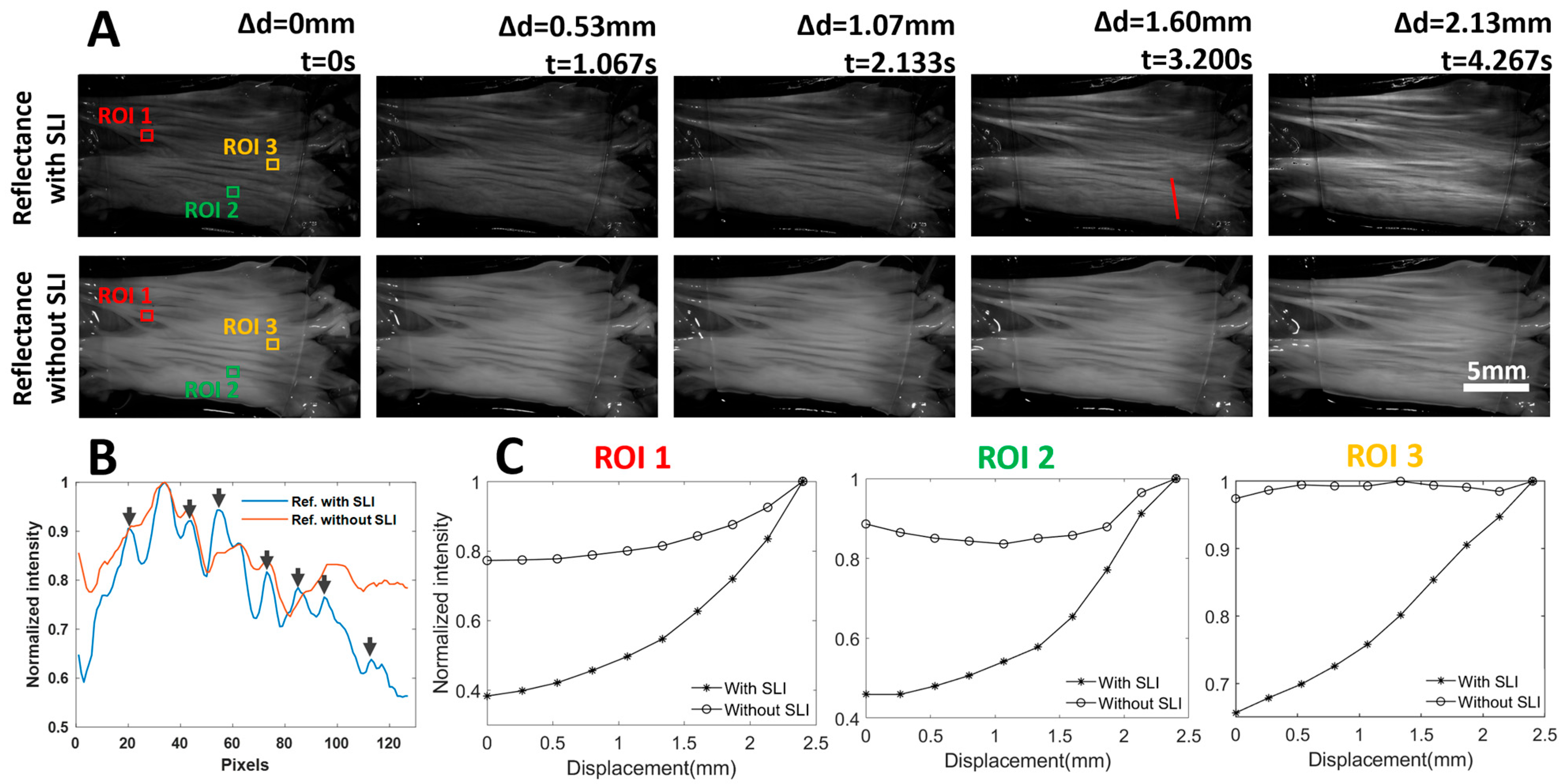 Photonics 12 00935 g003
