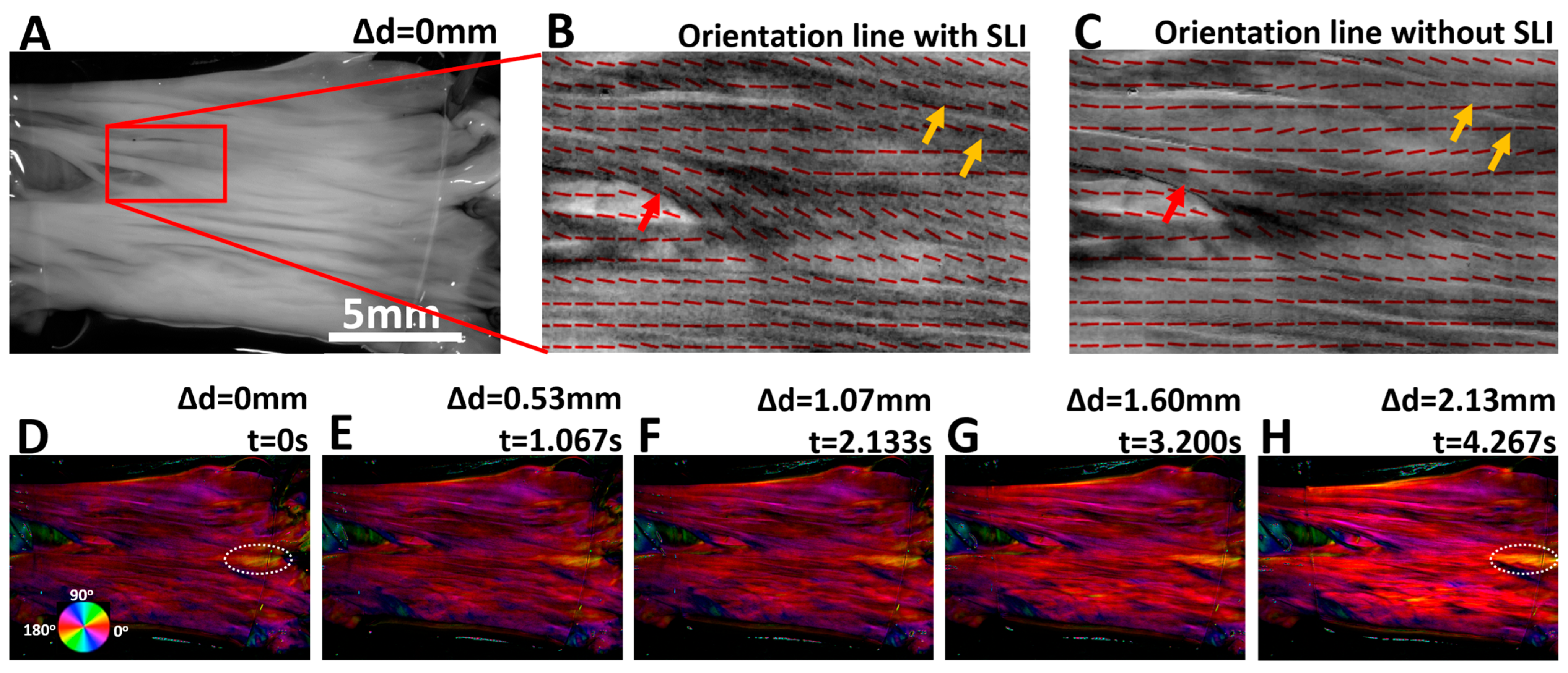Photonics 12 00935 g004