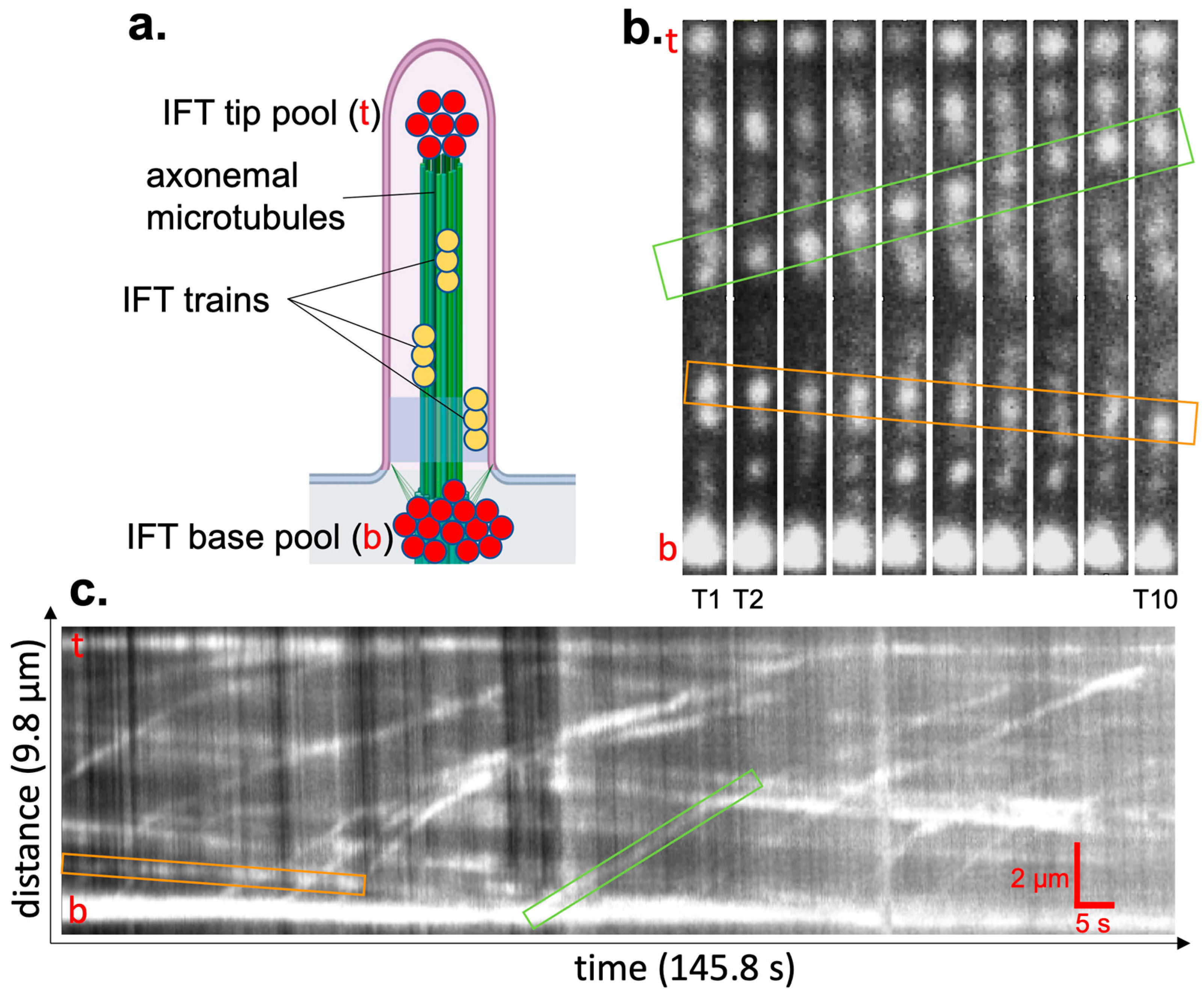 Photonics 12 00994 g005
