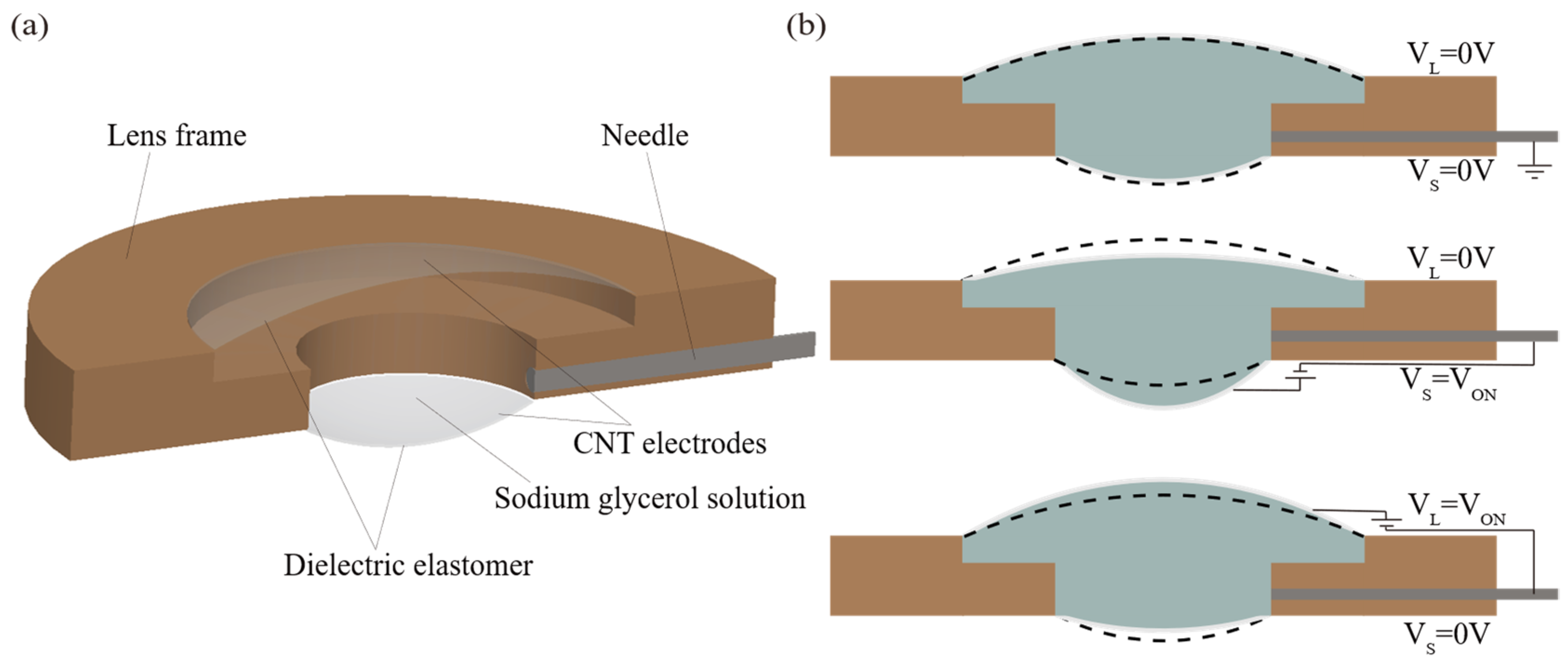Photonics 12 01069 g001
