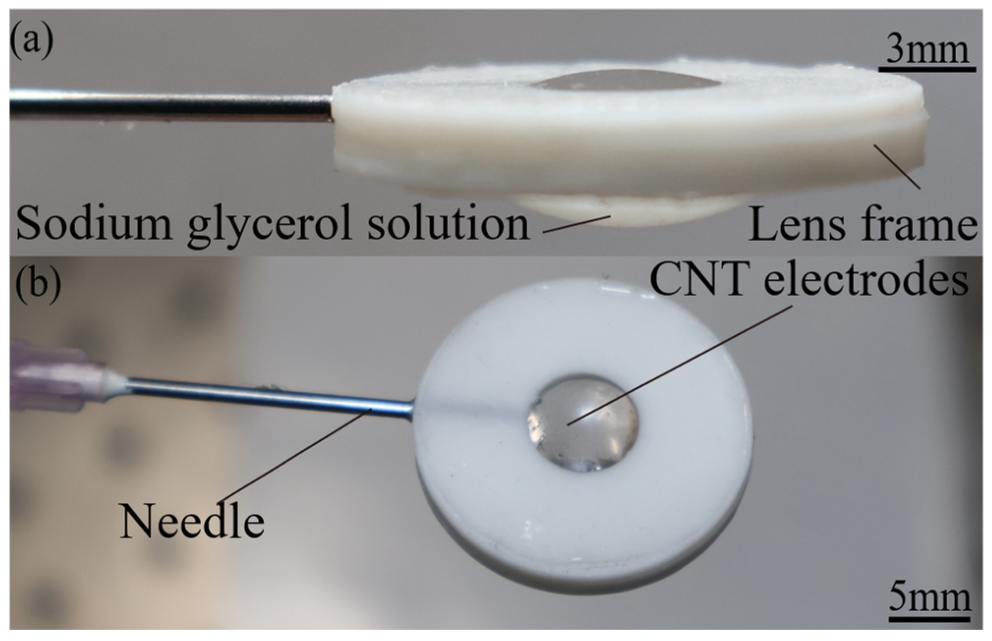 Photonics 12 01069 g003