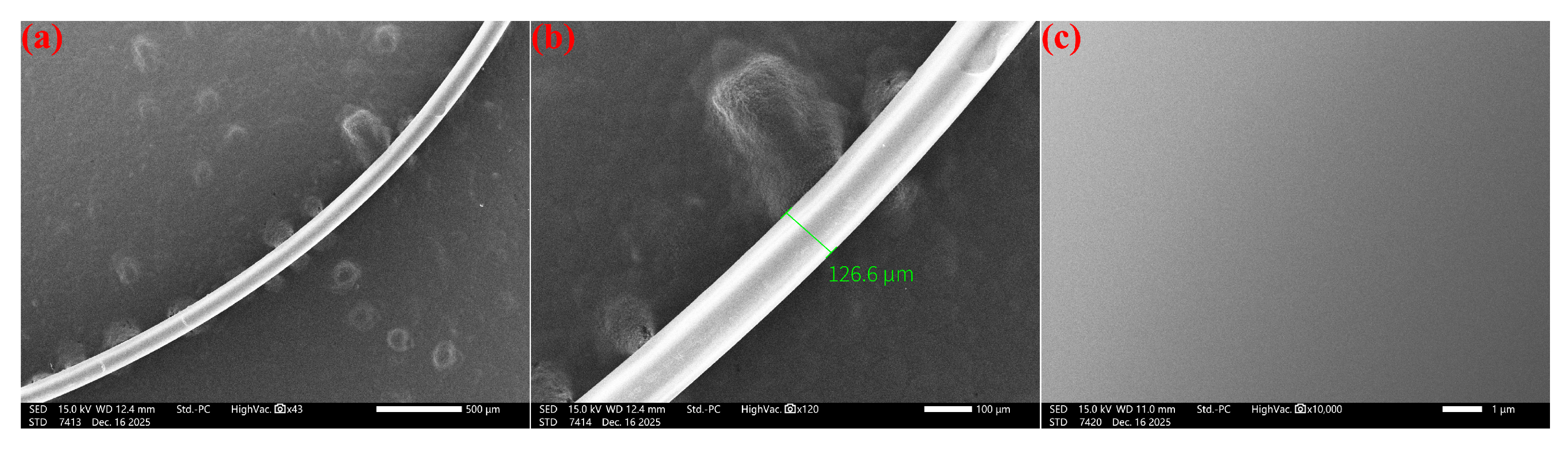 Photonics 13 00002 g004