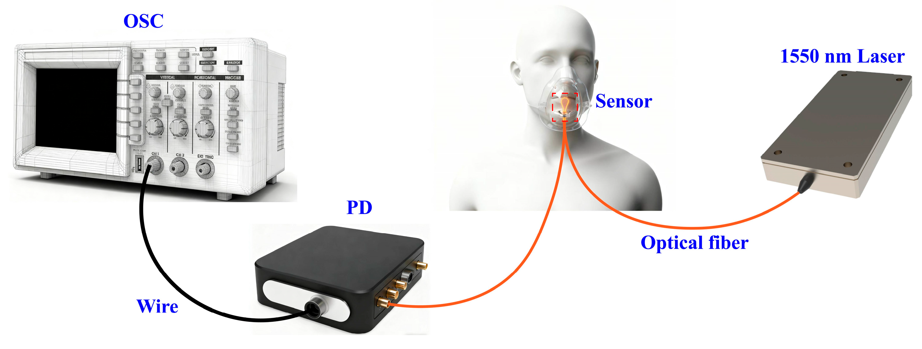 Photonics 13 00002 g011