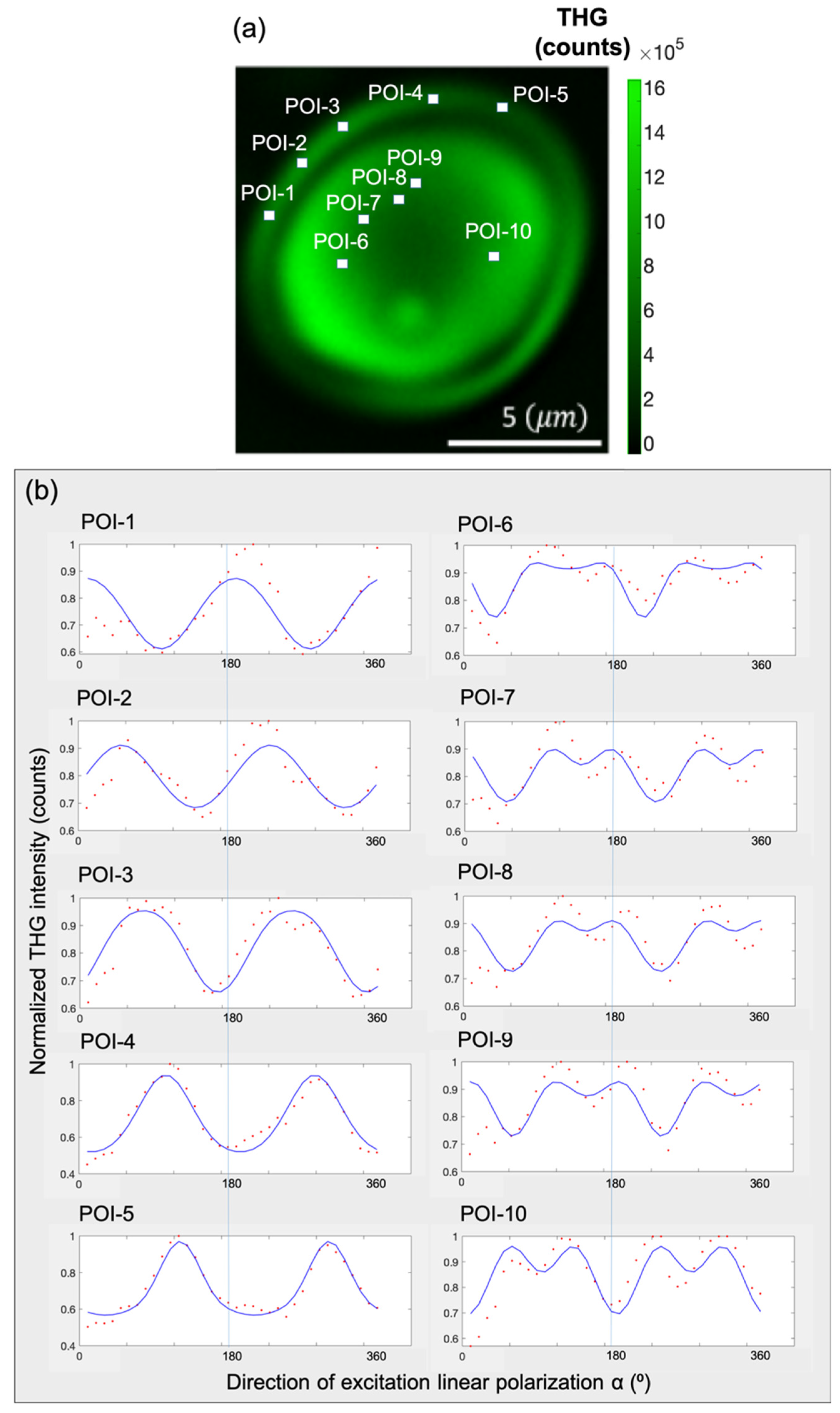 Photonics 13 00016 g006 Photonics 13 00016 g006