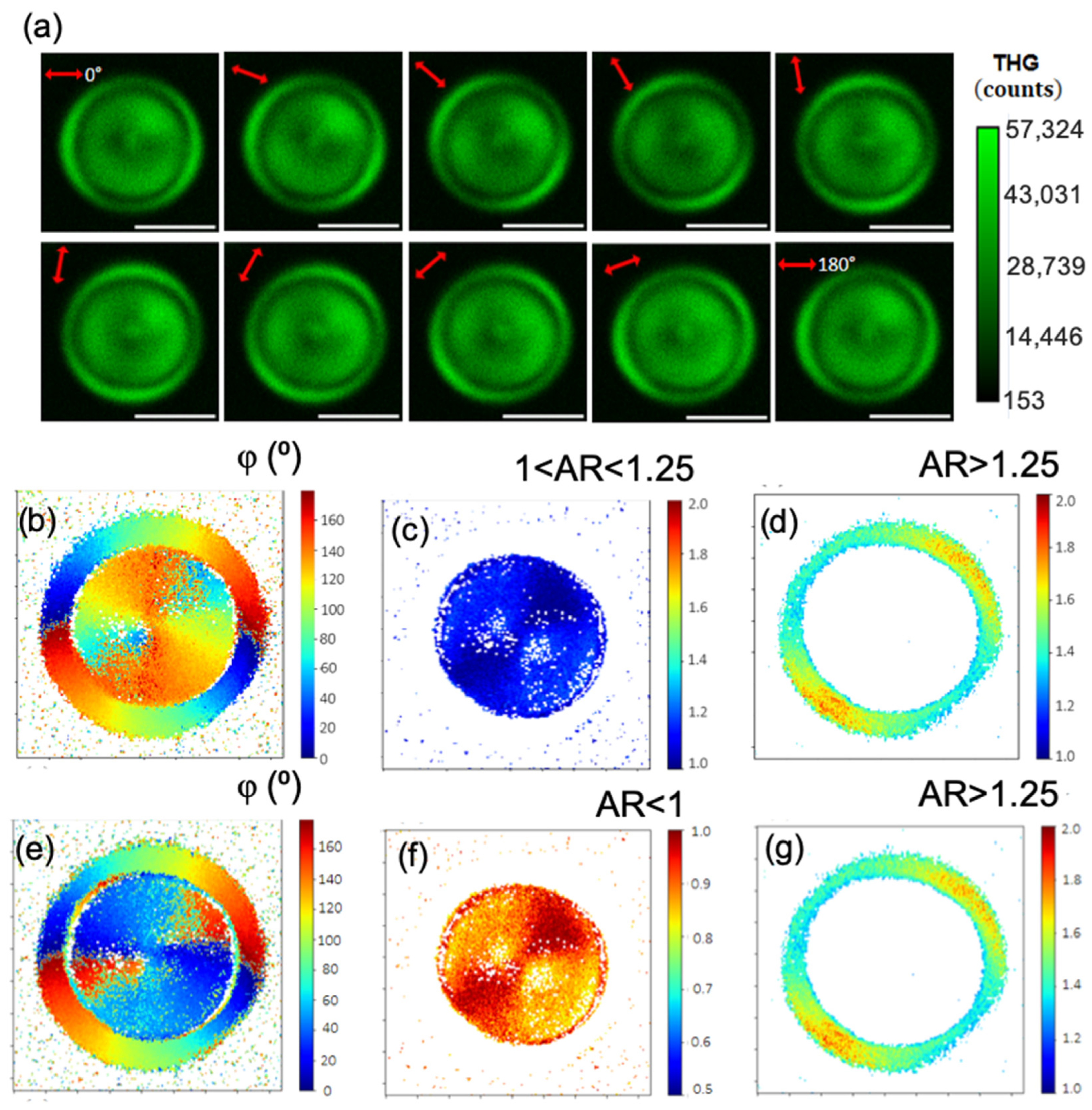 Photonics 13 00016 g008 Photonics 13 00016 g008