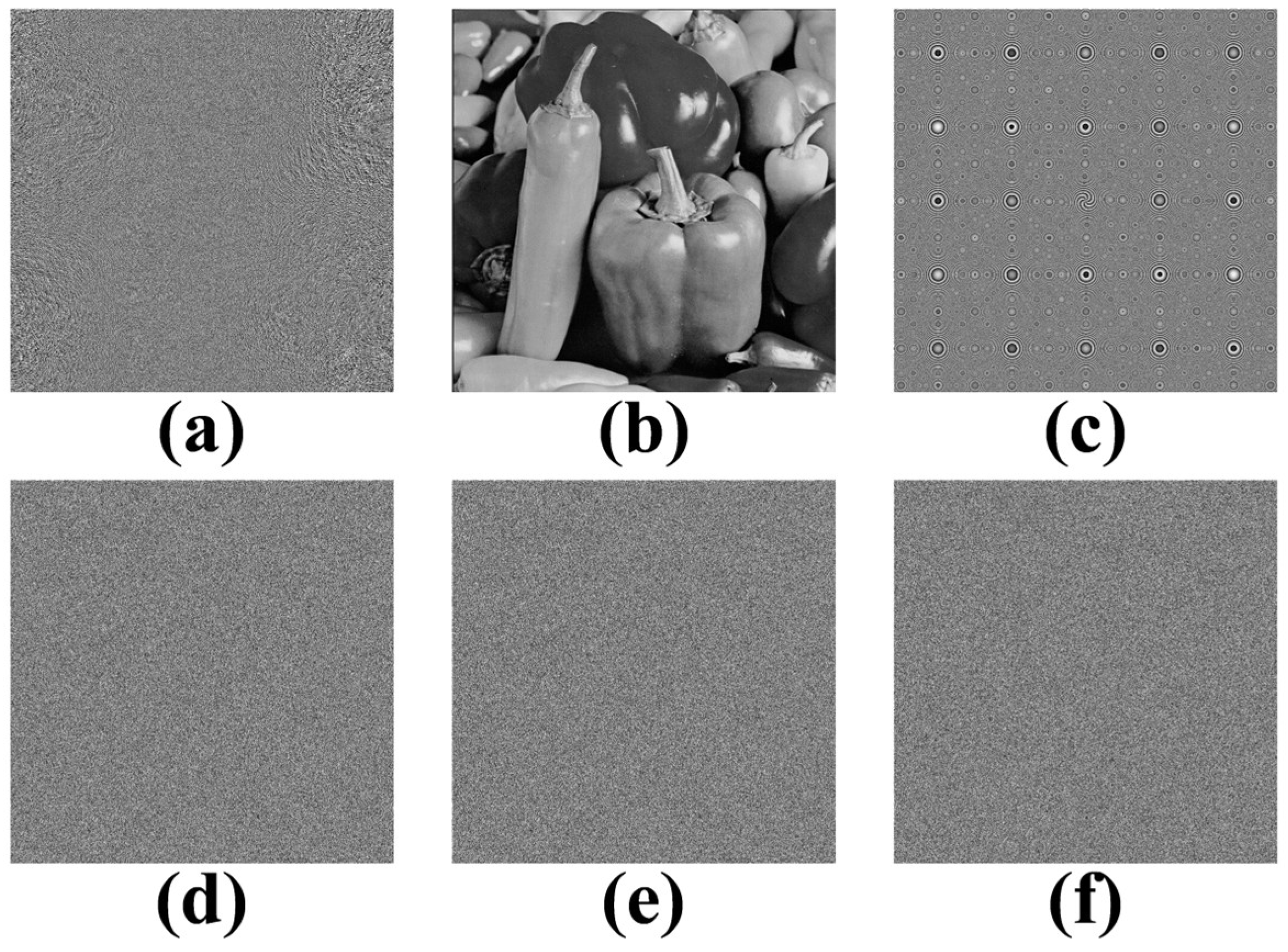 Photonics 13 00066 g005