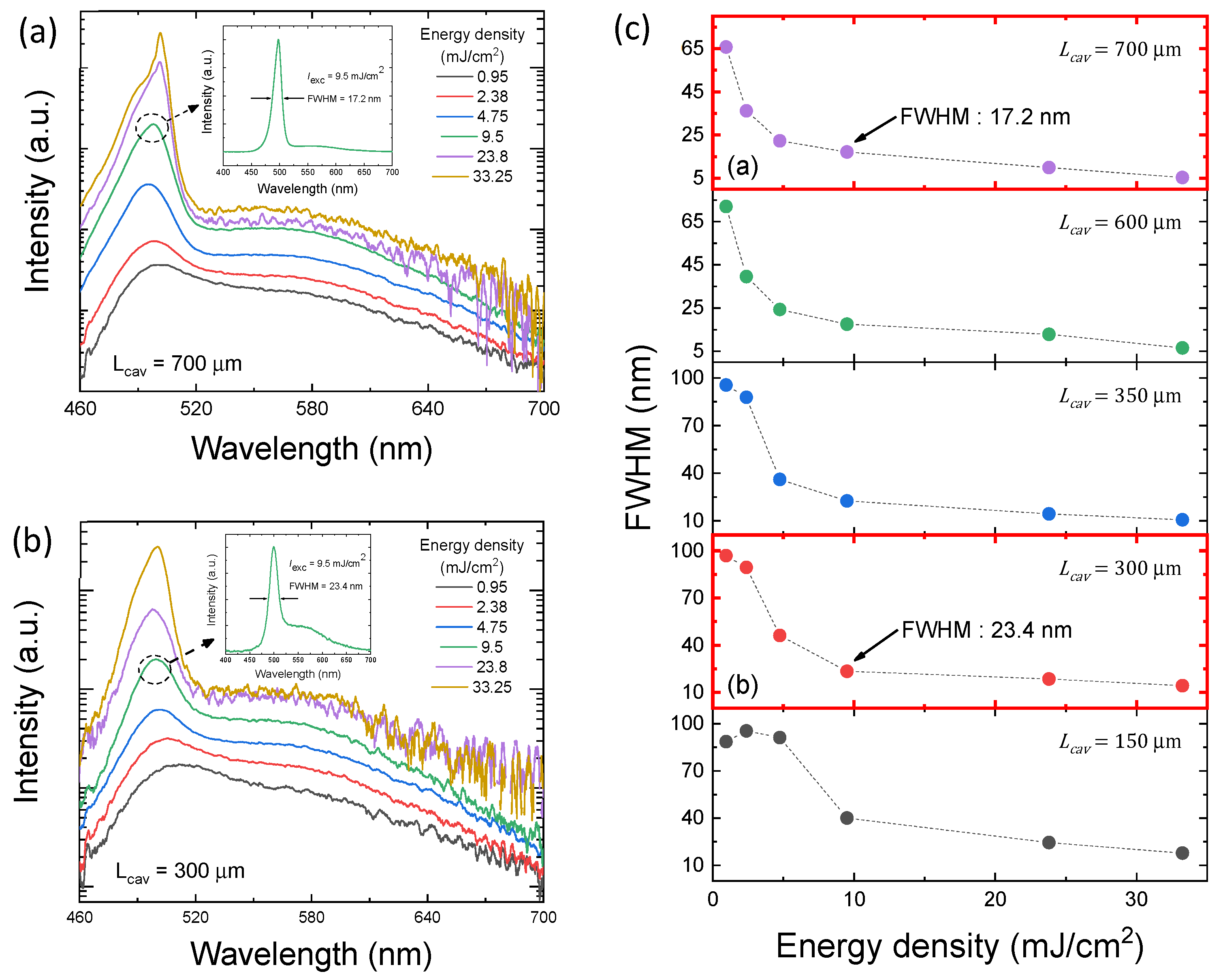 Photonics 13 00097 g003
