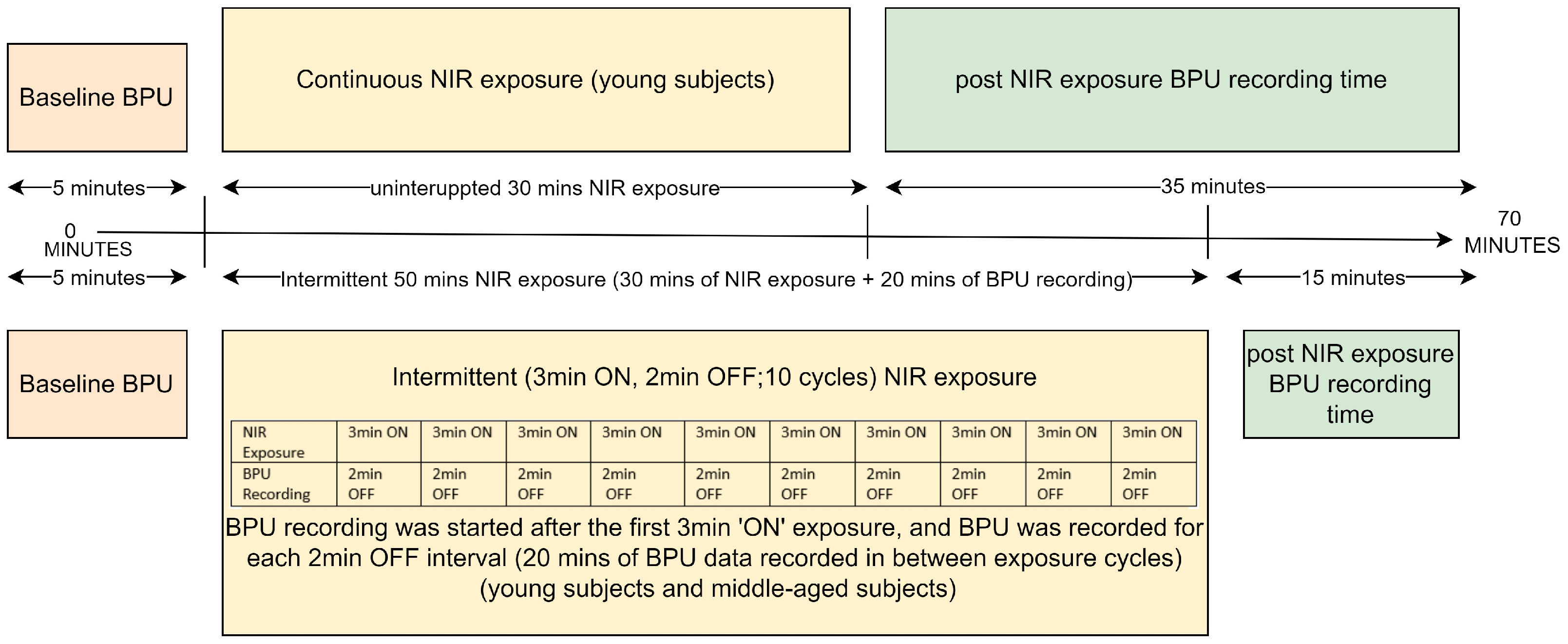 Photonics 13 00119 g002