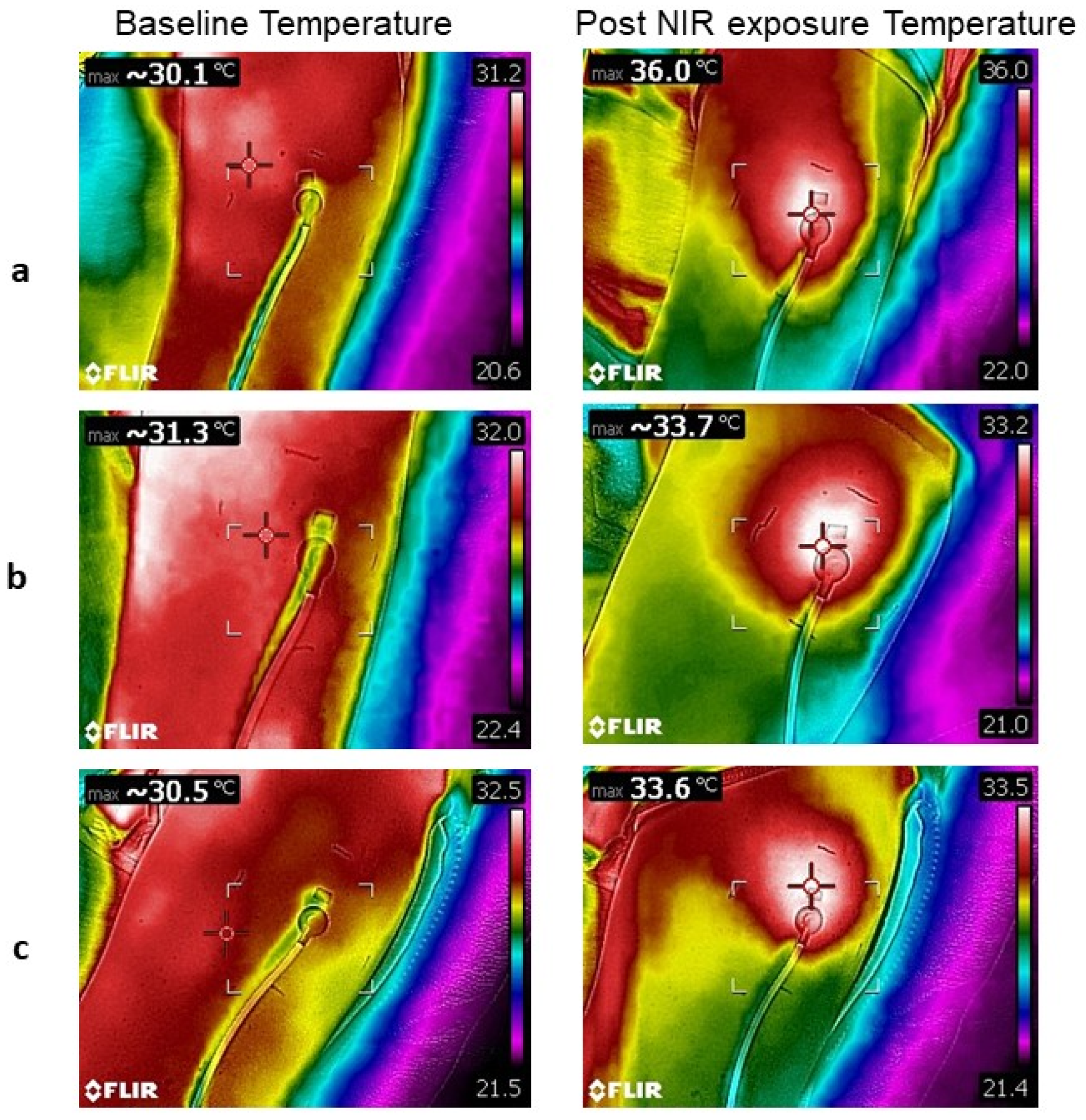 Photonics 13 00119 g005