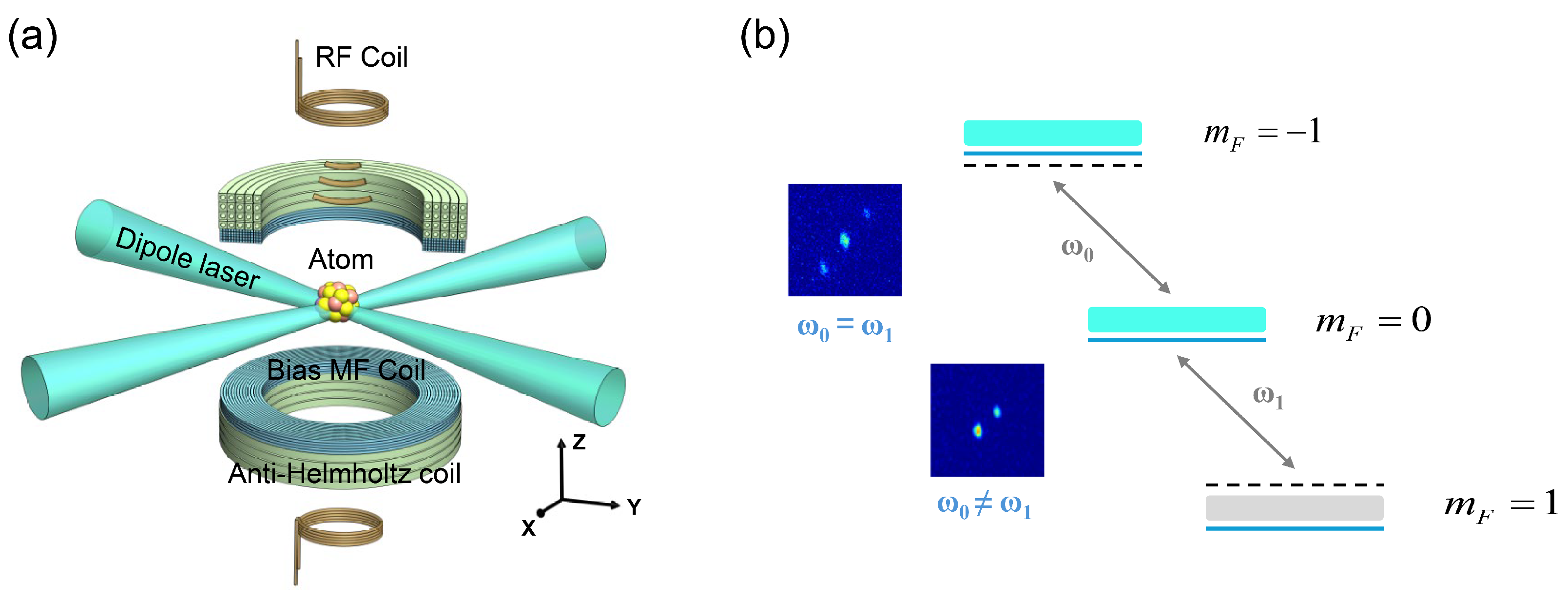 Photonics 13 00135 g001