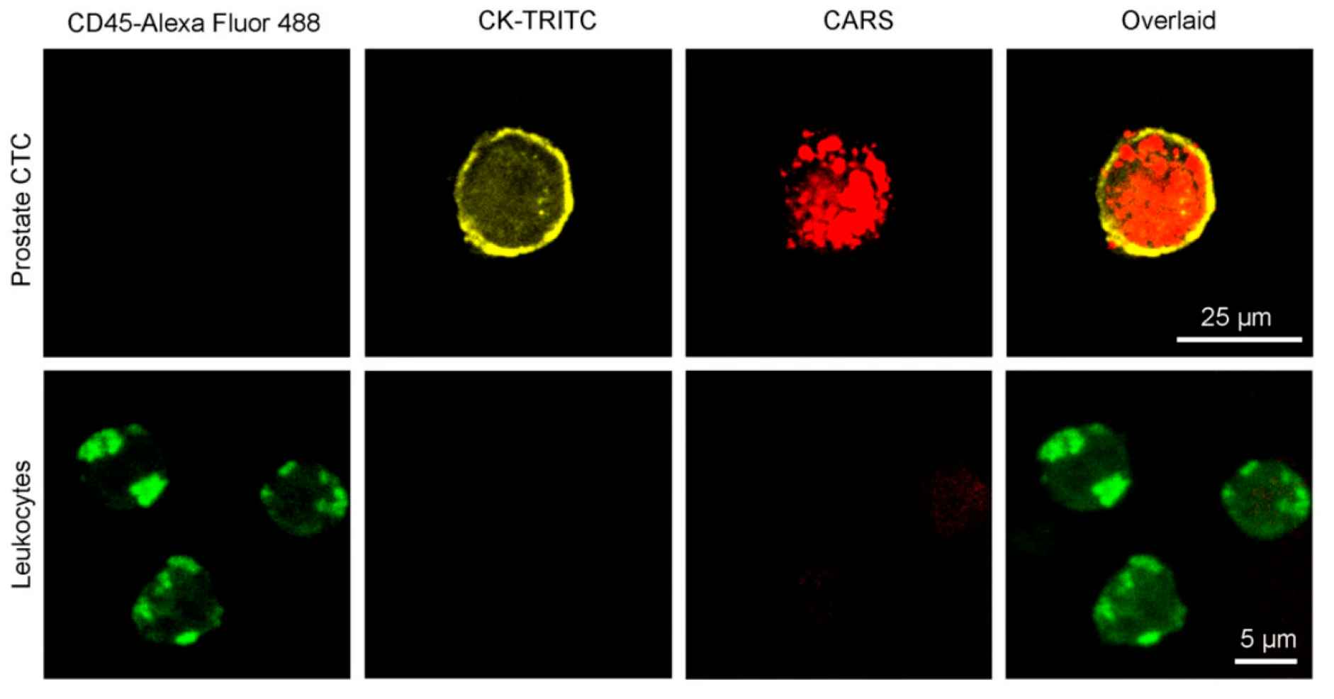 Photonics 13 00173 g010