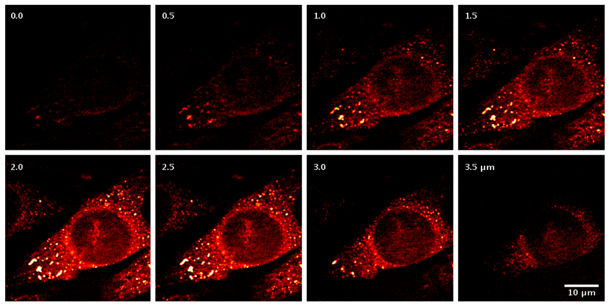 Photonics 13 00173 g011