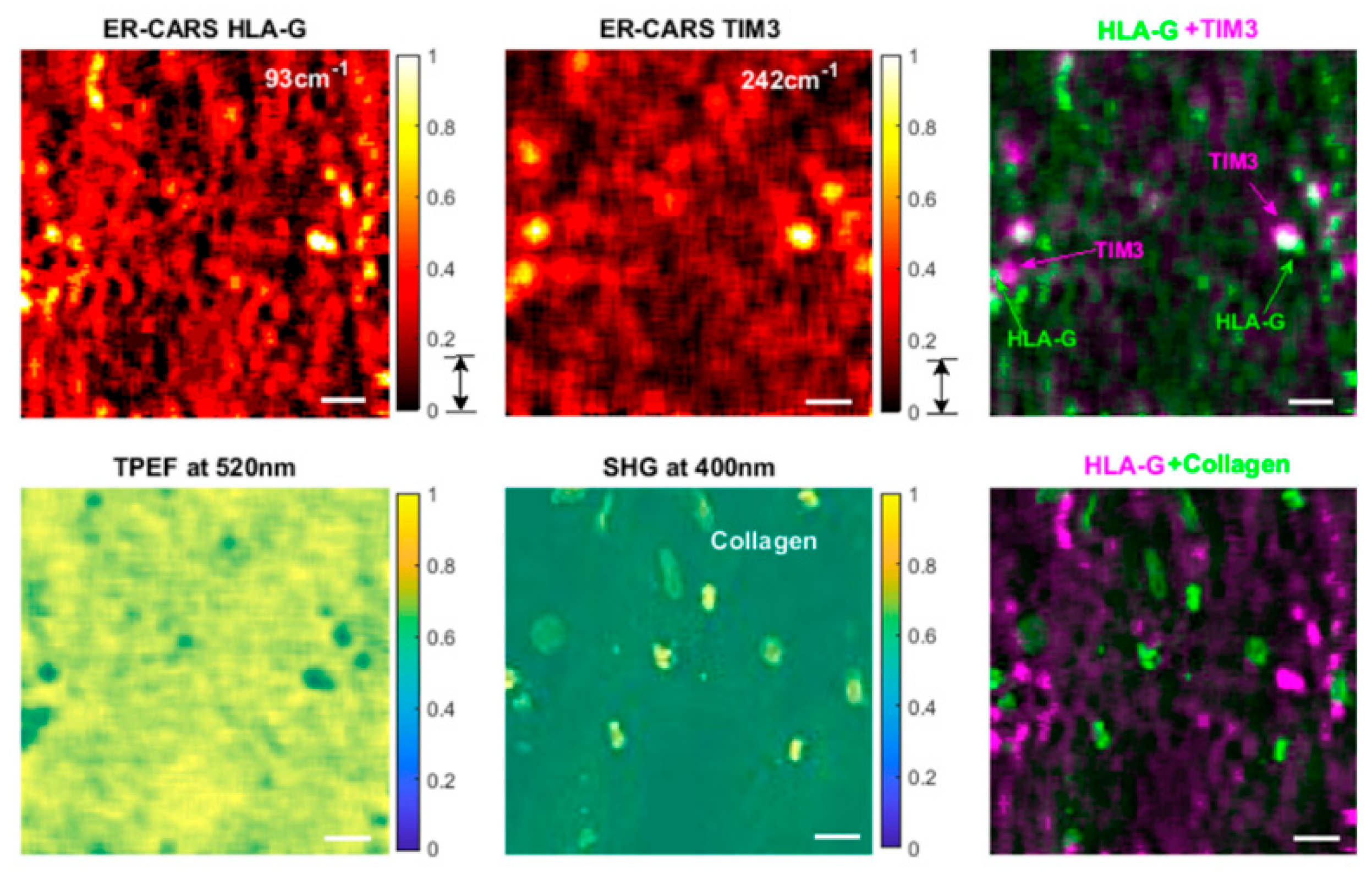 Photonics 13 00173 g012