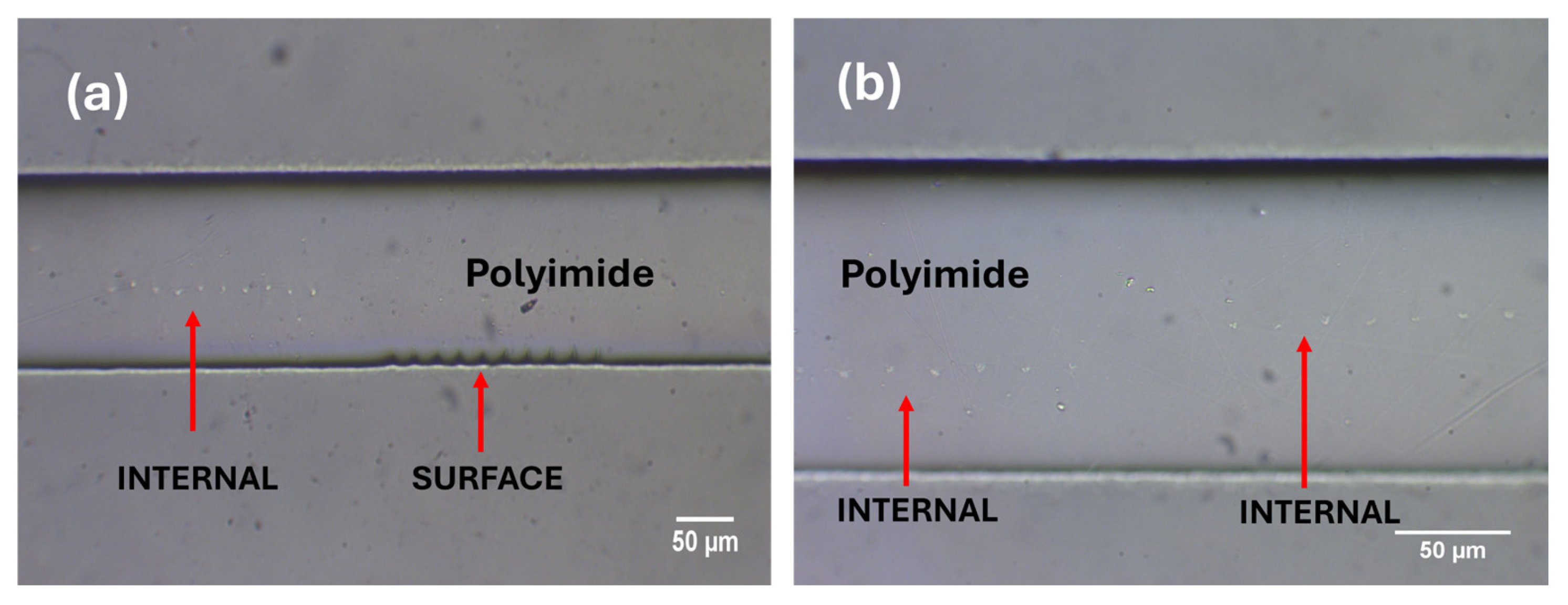 Photonics 13 00179 g006 Photonics 13 00179 g006
