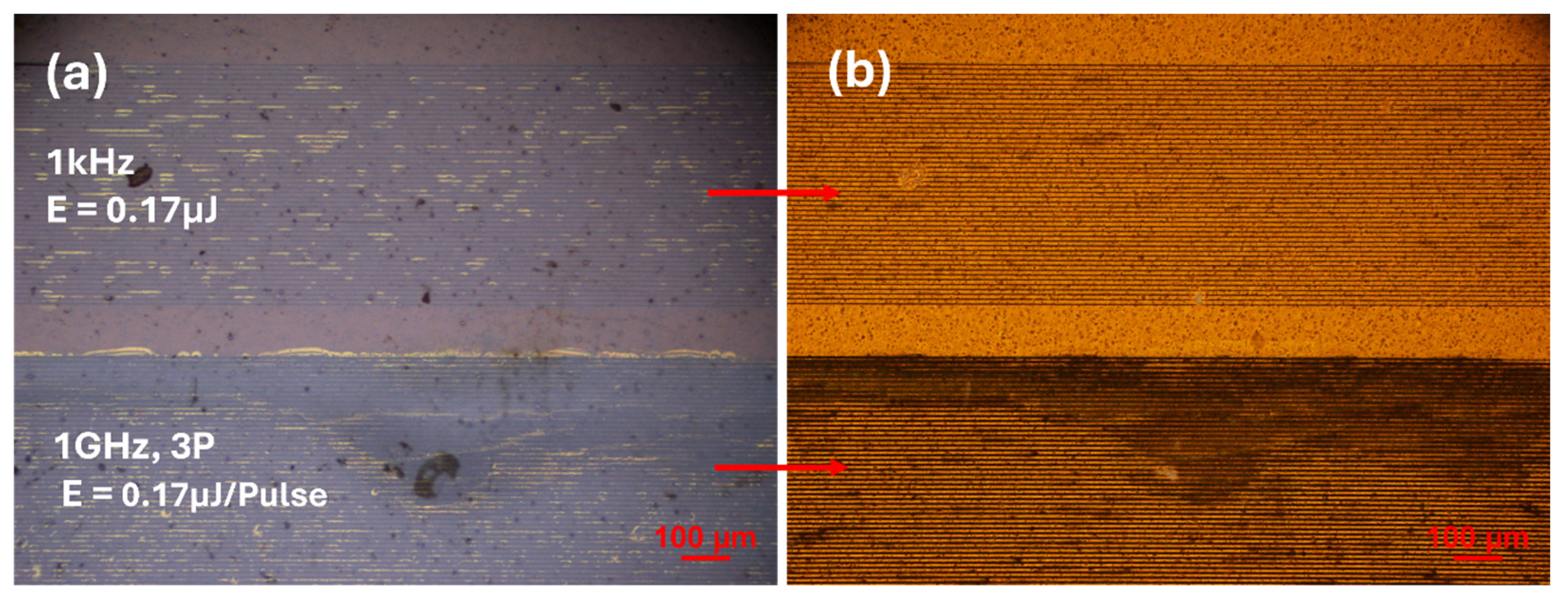 Photonics 13 00179 g009 Photonics 13 00179 g009
