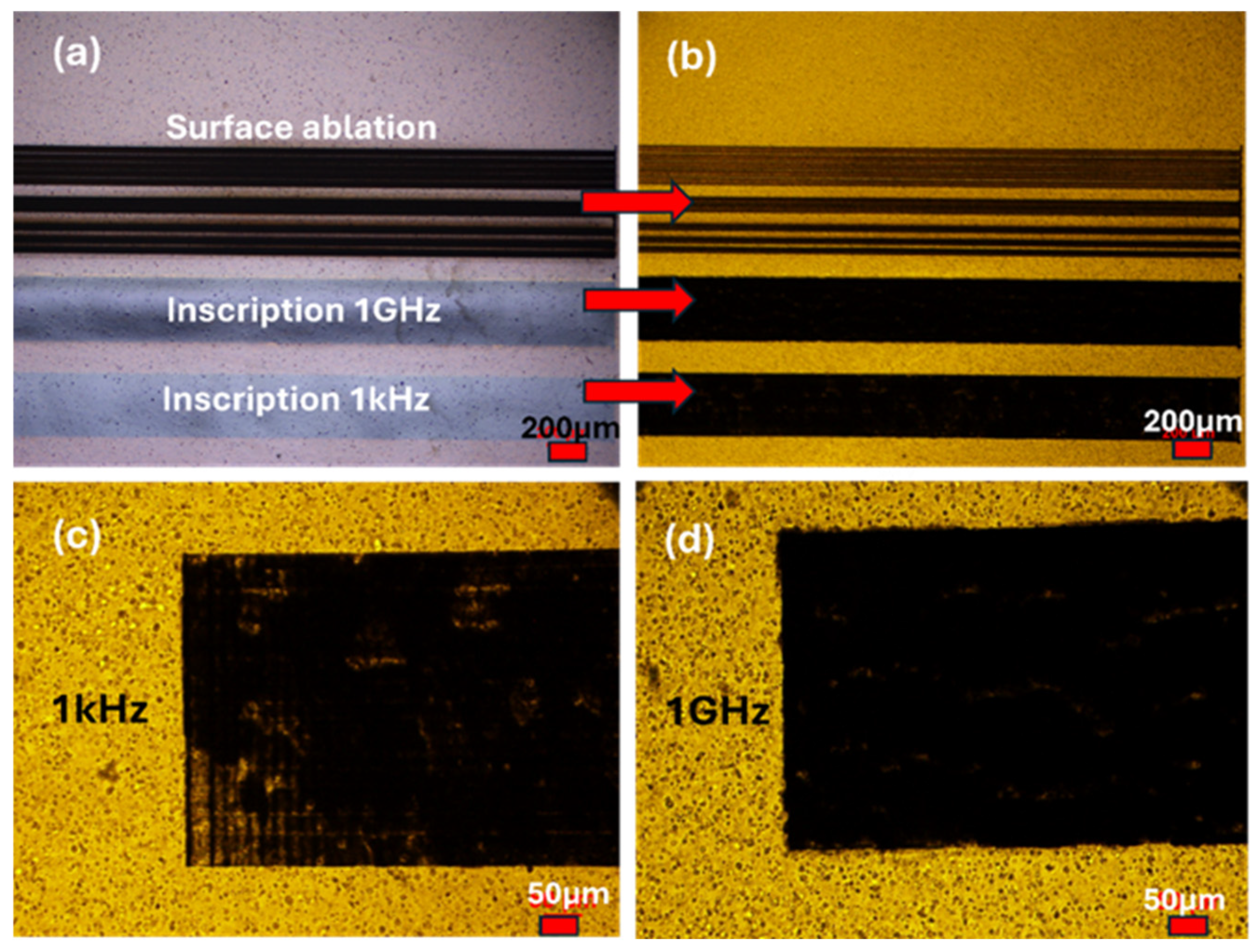 Photonics 13 00179 g010 Photonics 13 00179 g010