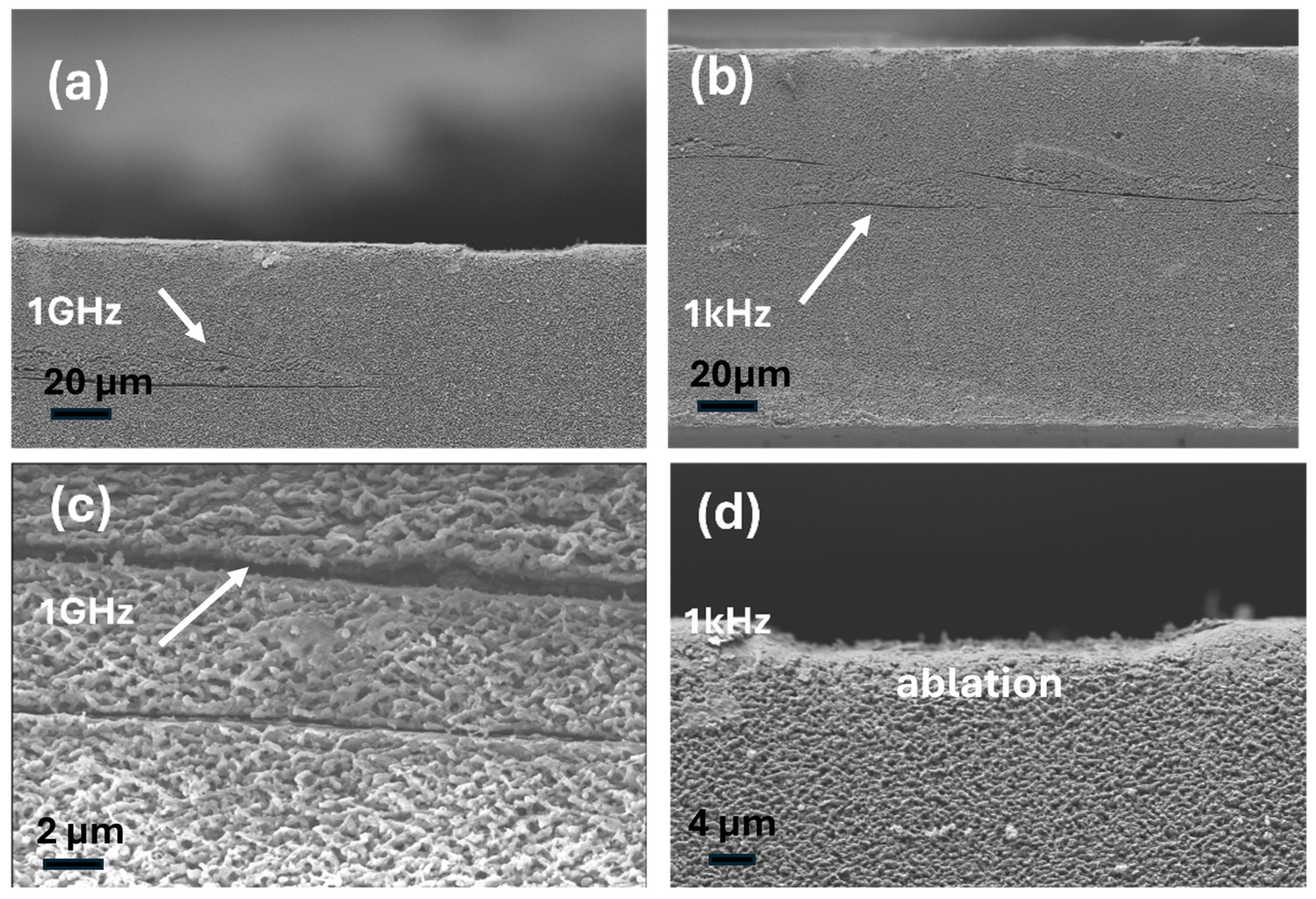 Photonics 13 00179 g011 Photonics 13 00179 g011