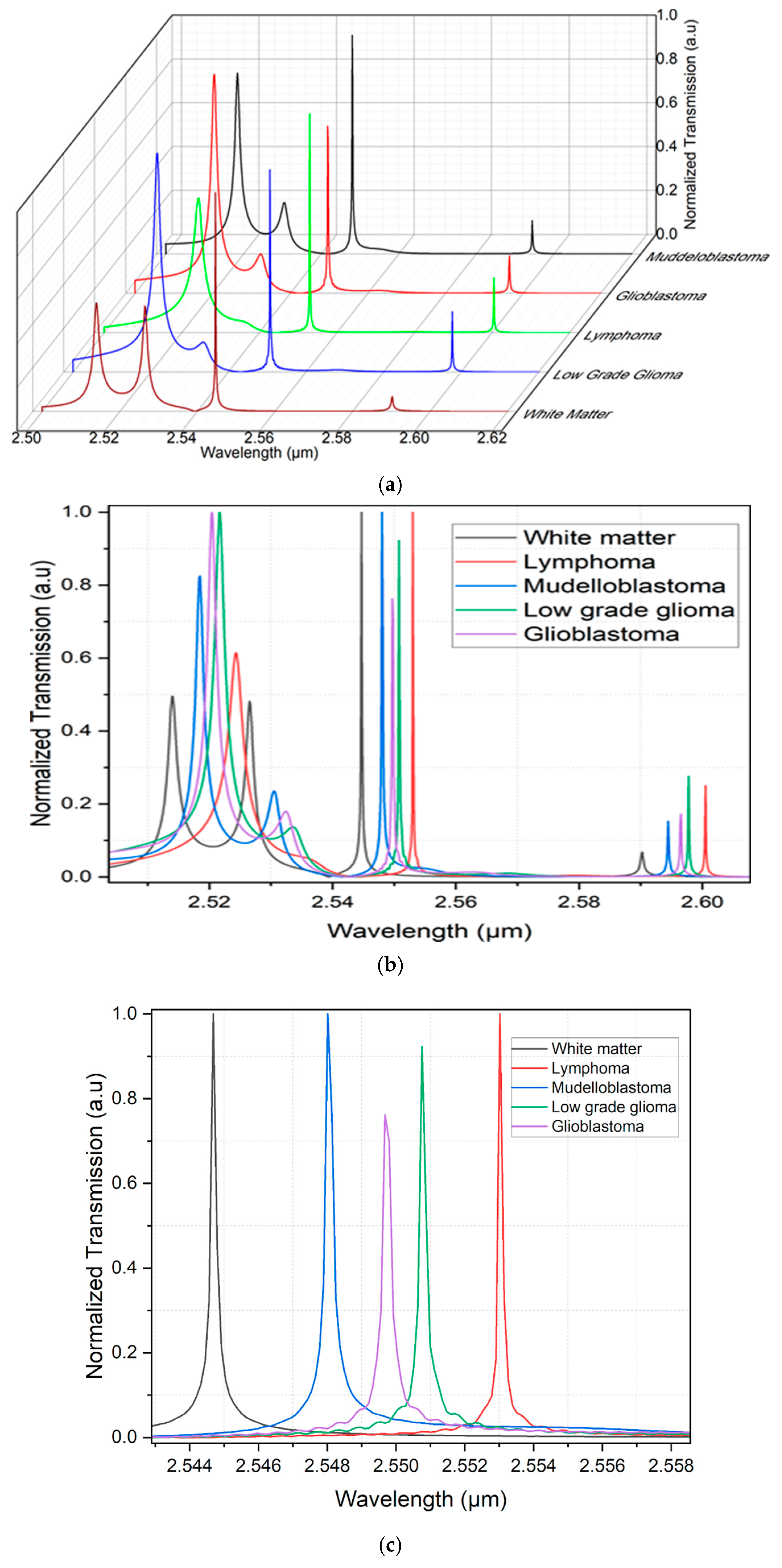 Photonics 13 00207 g007 Photonics 13 00207 g007