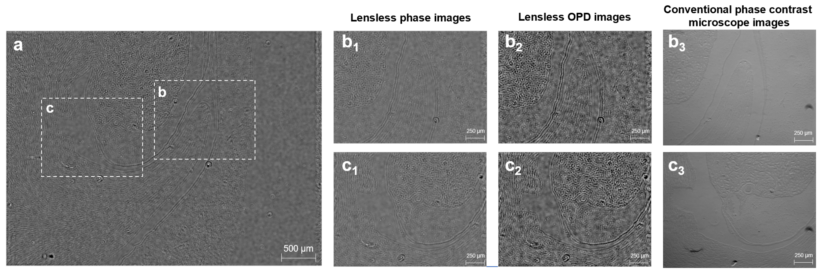 Photonics 13 00213 g005 Photonics 13 00213 g005