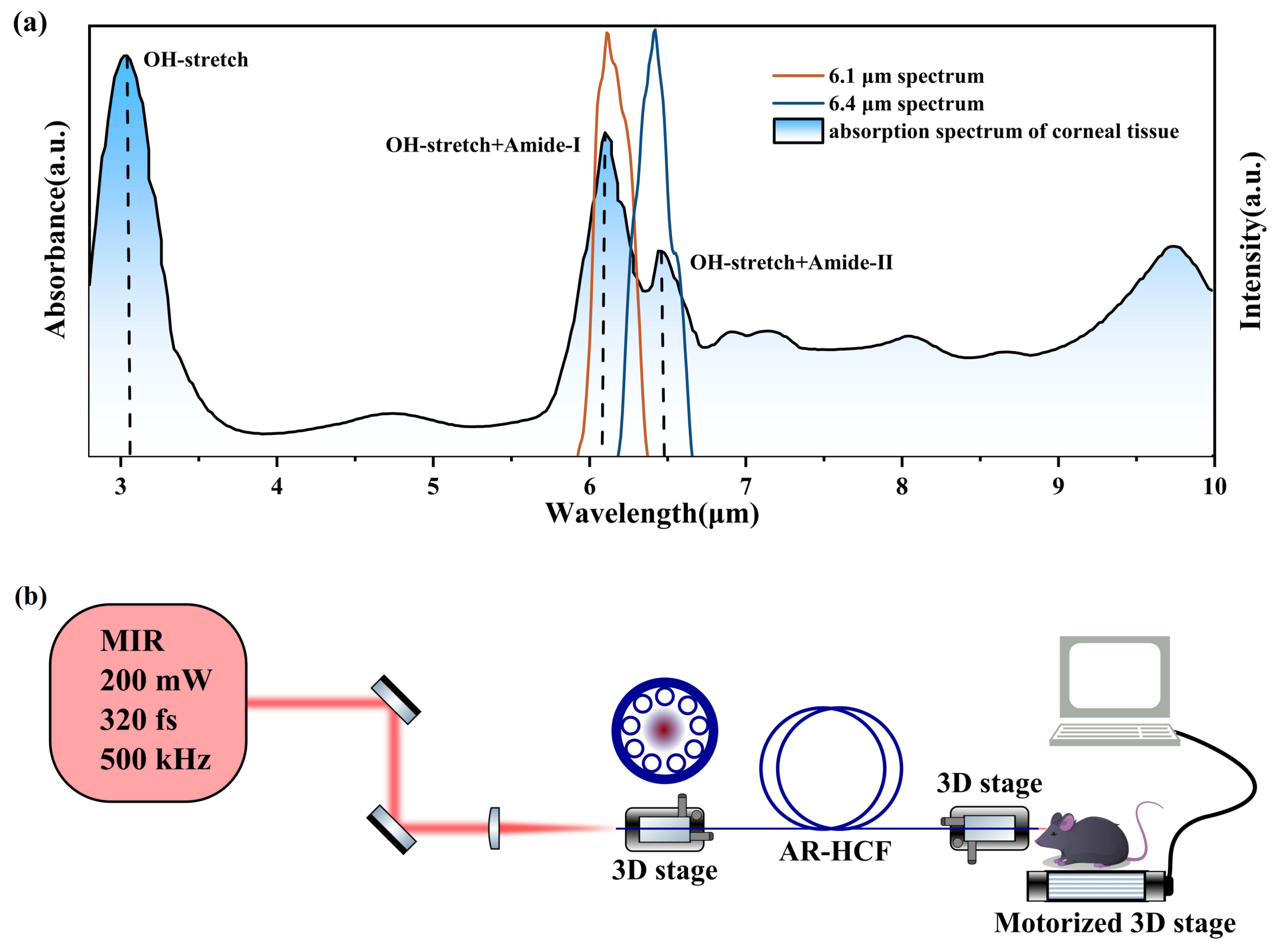 Photonics 13 00219 g001