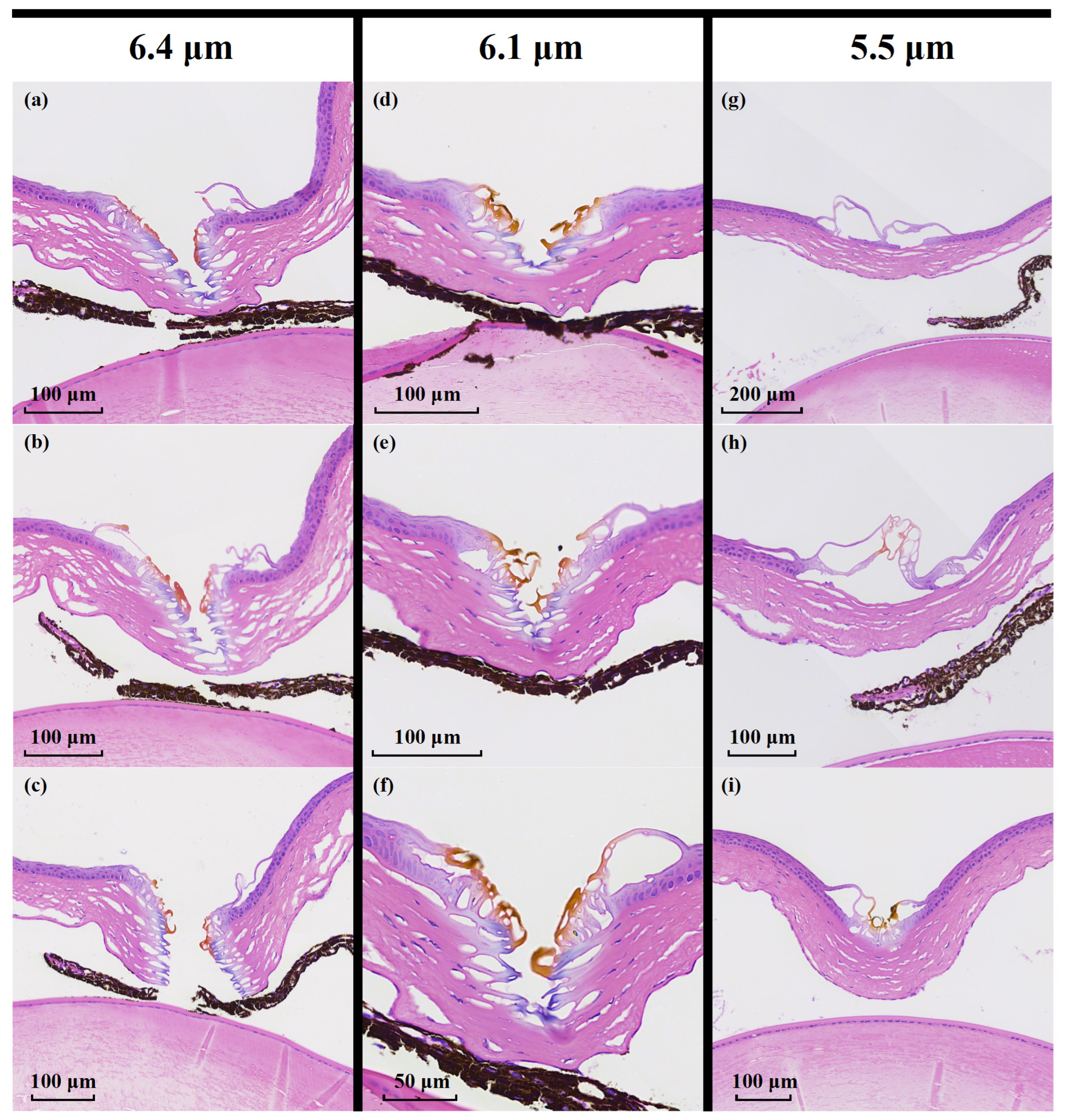 Photonics 13 00219 g006